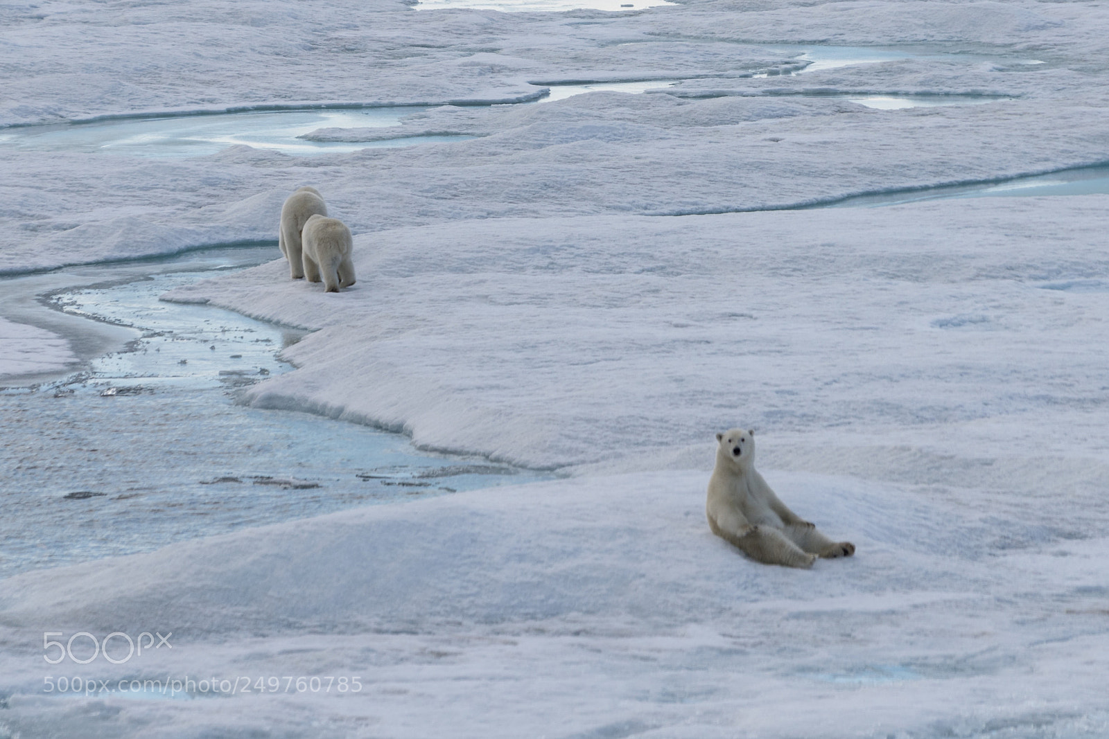 Sony a7R II sample photo. Ellesmere island photography