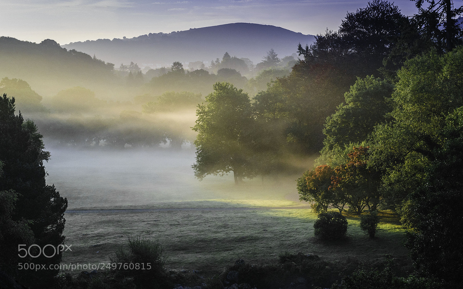 Nikon D300S sample photo. Dawn in devon photography
