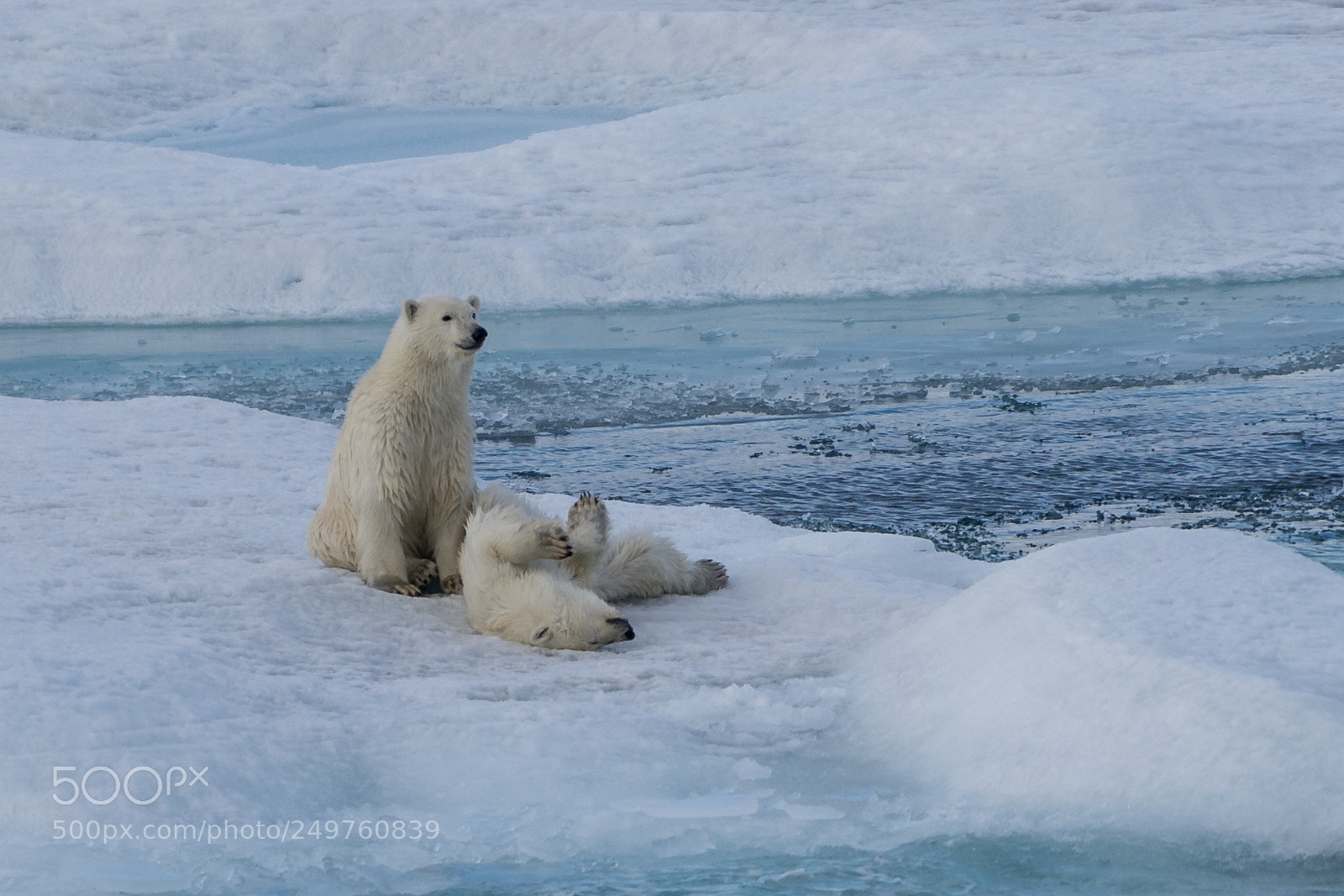 Sony a7R II sample photo. Ellesmere island photography