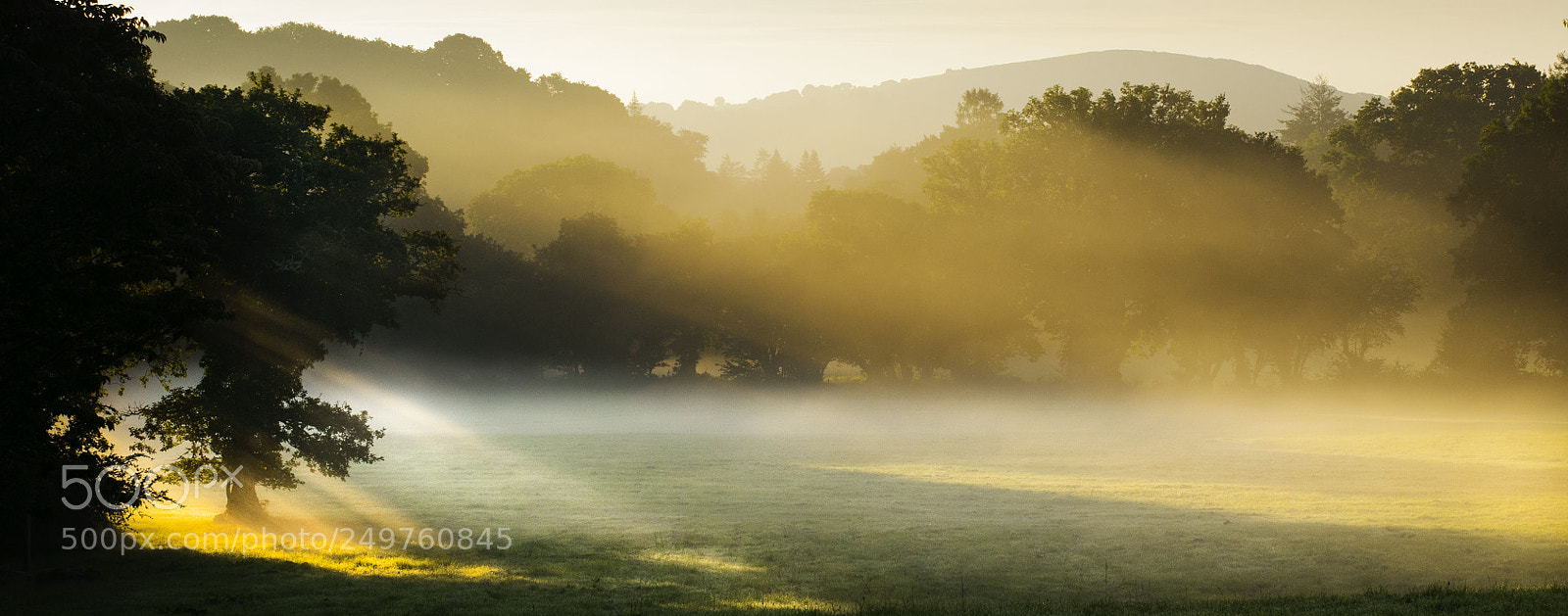 Nikon D300S sample photo. Mist at dawn photography
