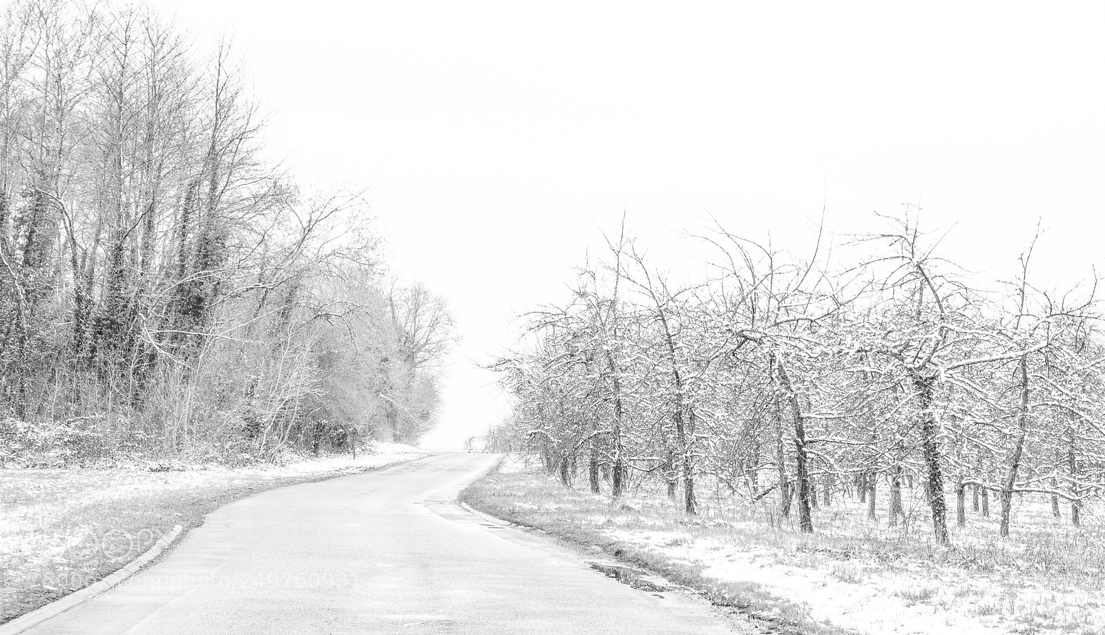 Fujifilm X-T2 sample photo. De la neige pour photography