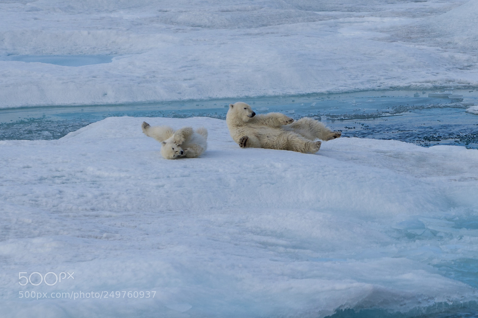 Sony a7R II sample photo. Ellesmere island photography