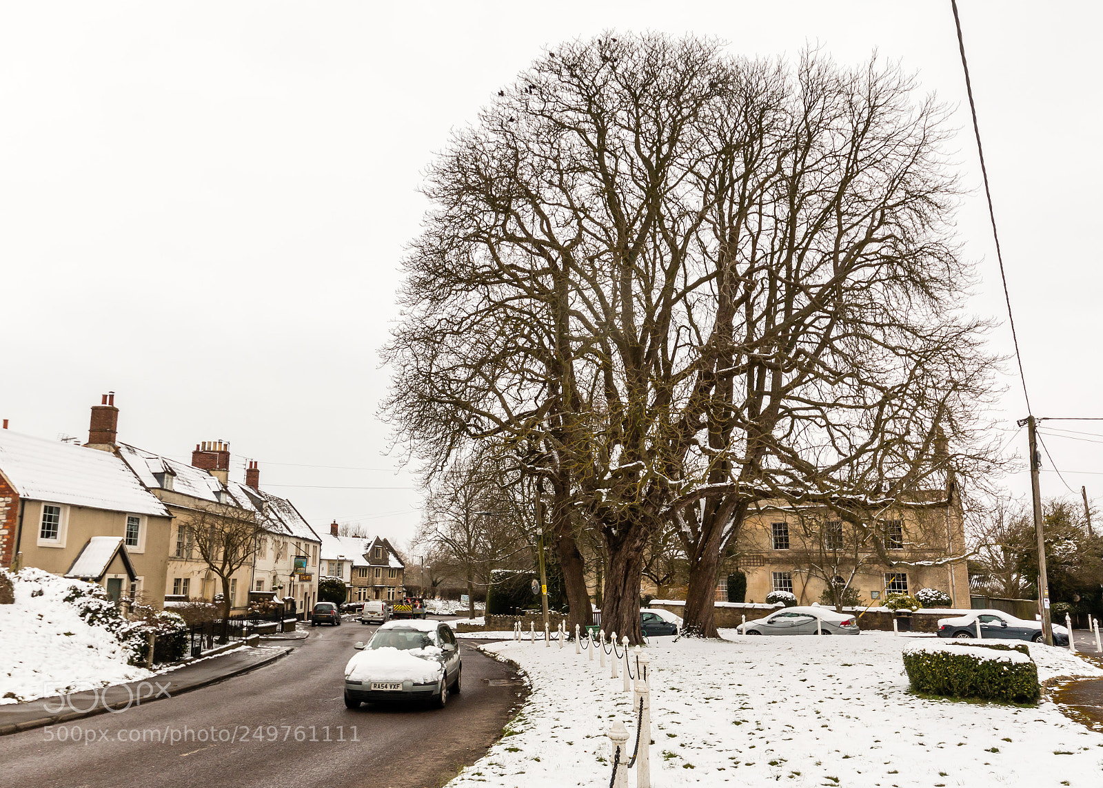 Canon EOS 70D sample photo. Ham green photography