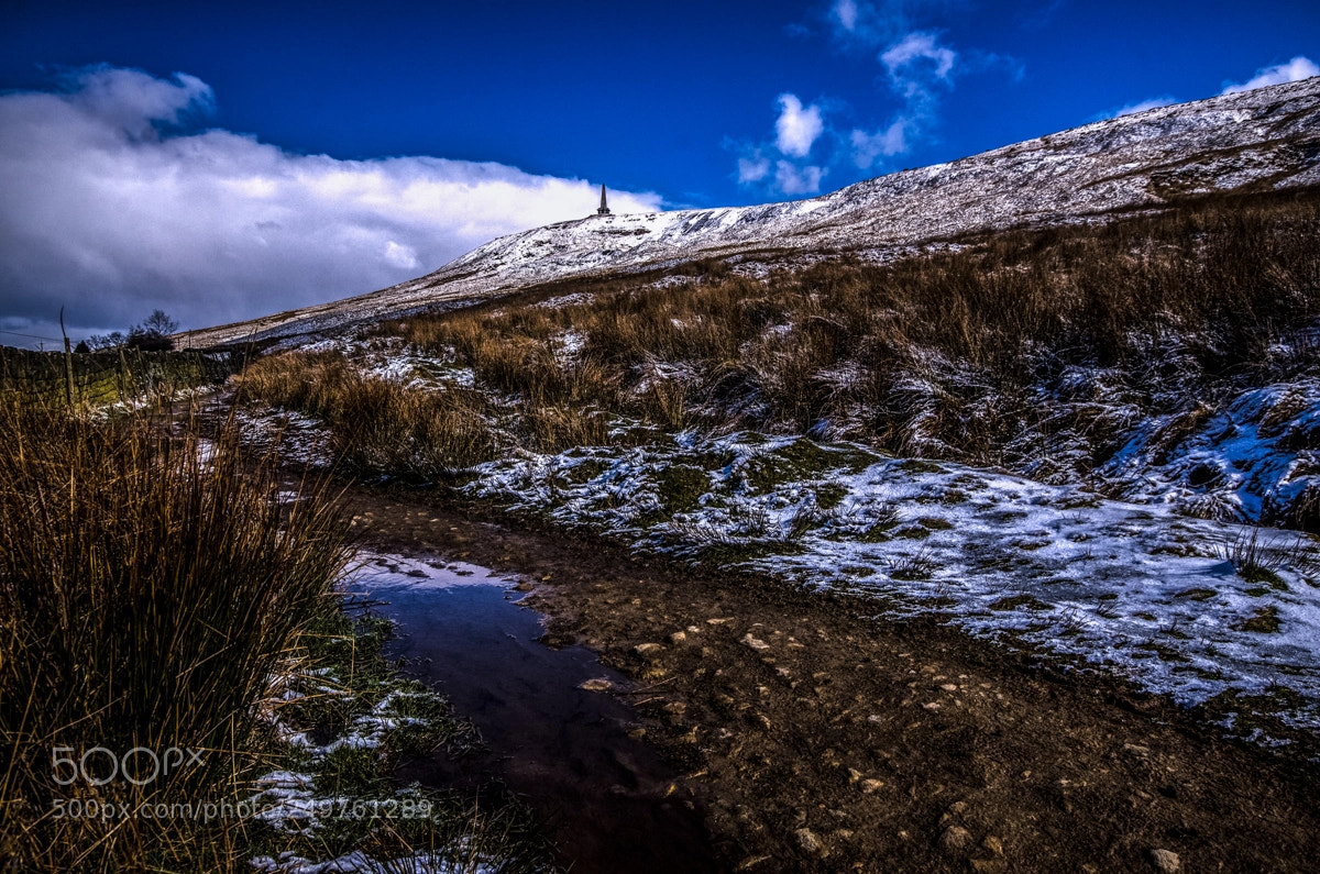 Nikon D7000 sample photo. Thawing on the path photography