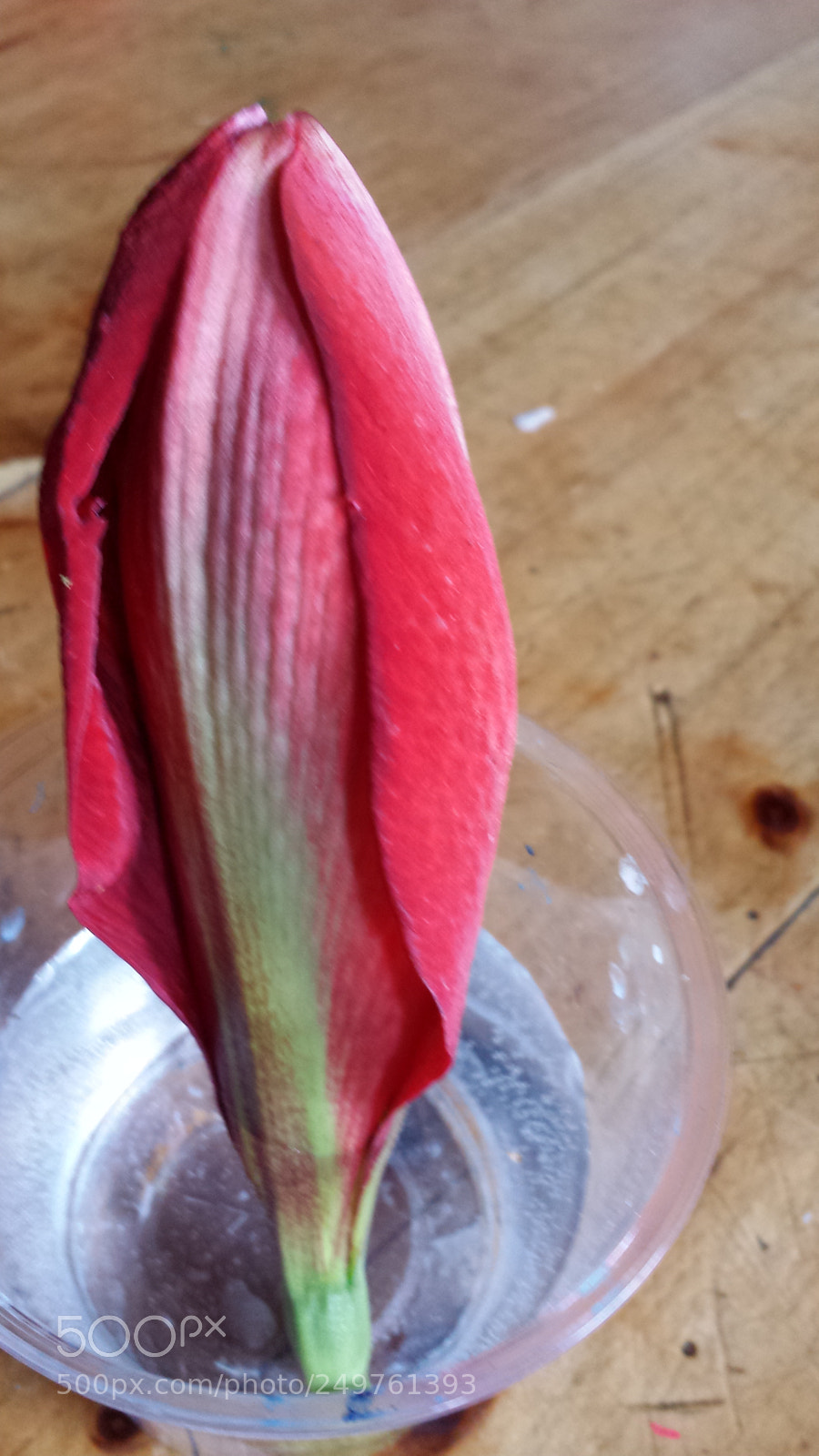 Samsung Galaxy S4 sample photo. Untitled photography