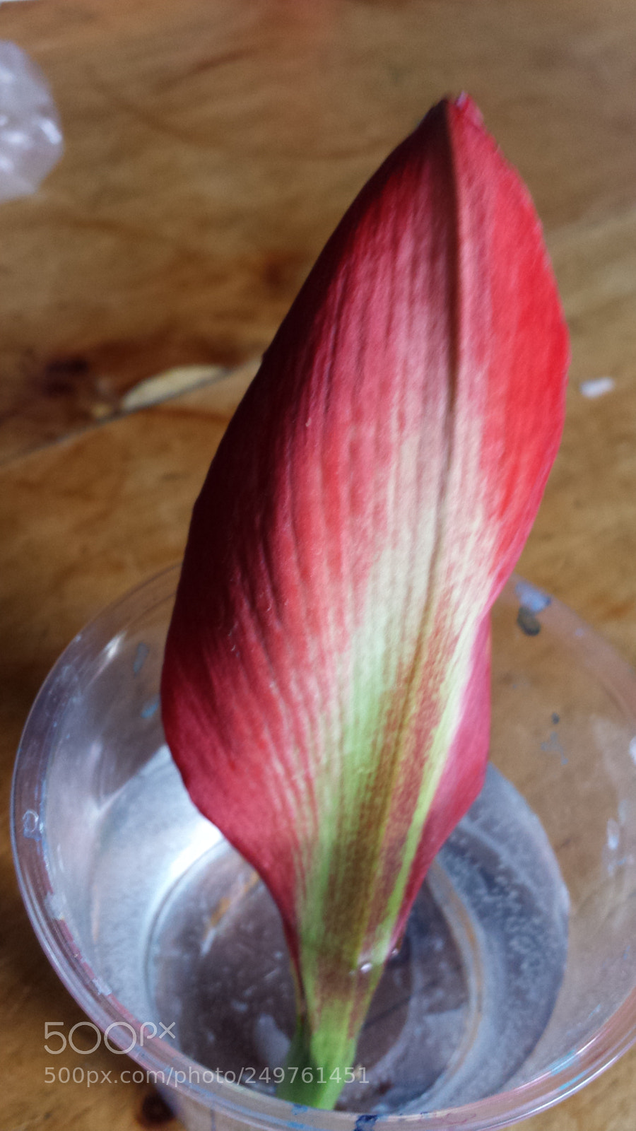 Samsung Galaxy S4 sample photo. Untitled photography