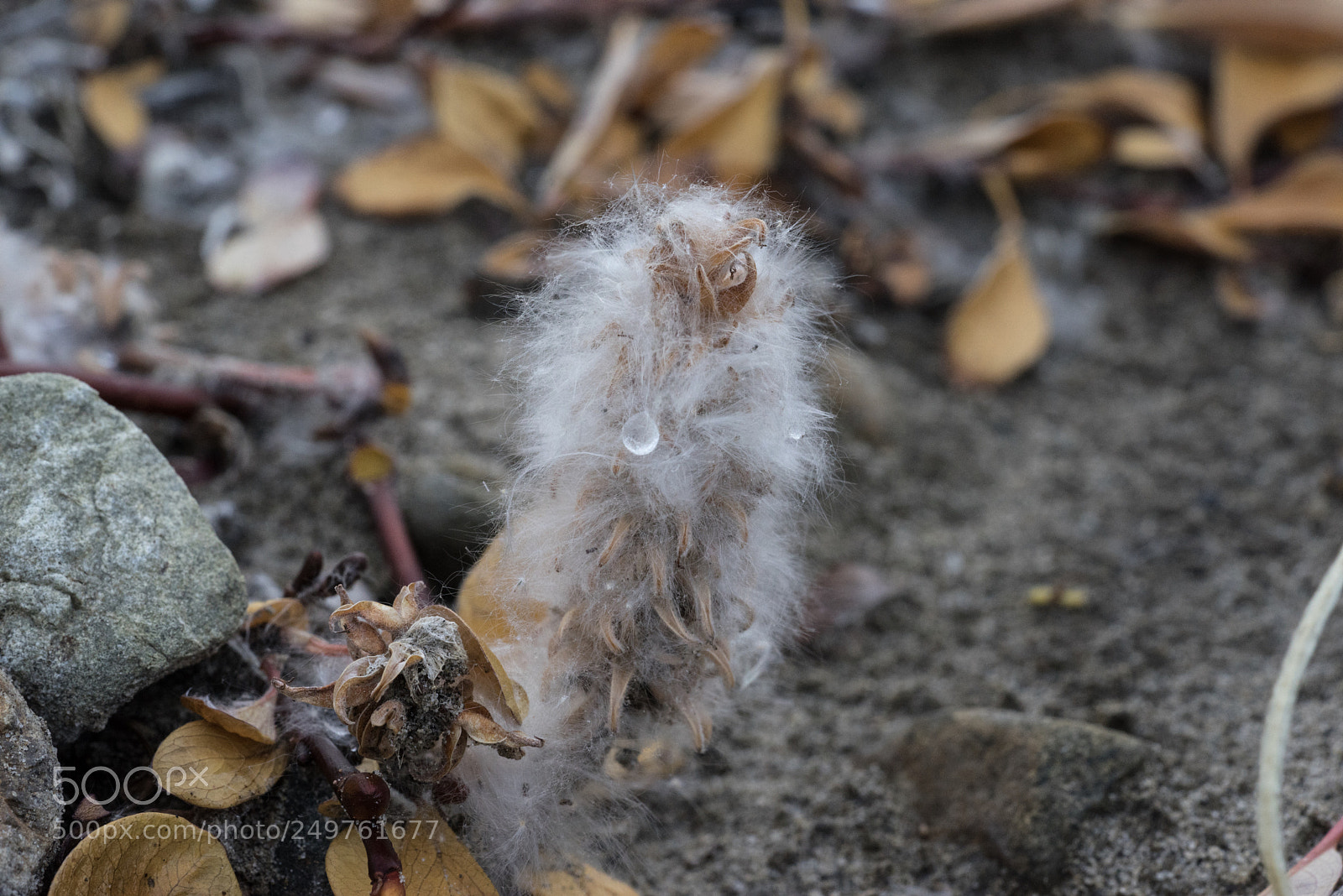 Sony a7R sample photo. Ellesmere island photography