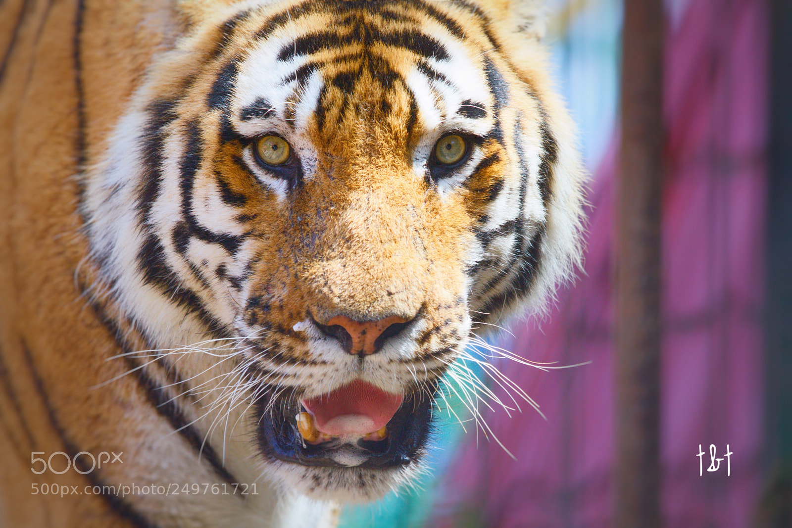 Canon EOS 7D sample photo. Untitled photography