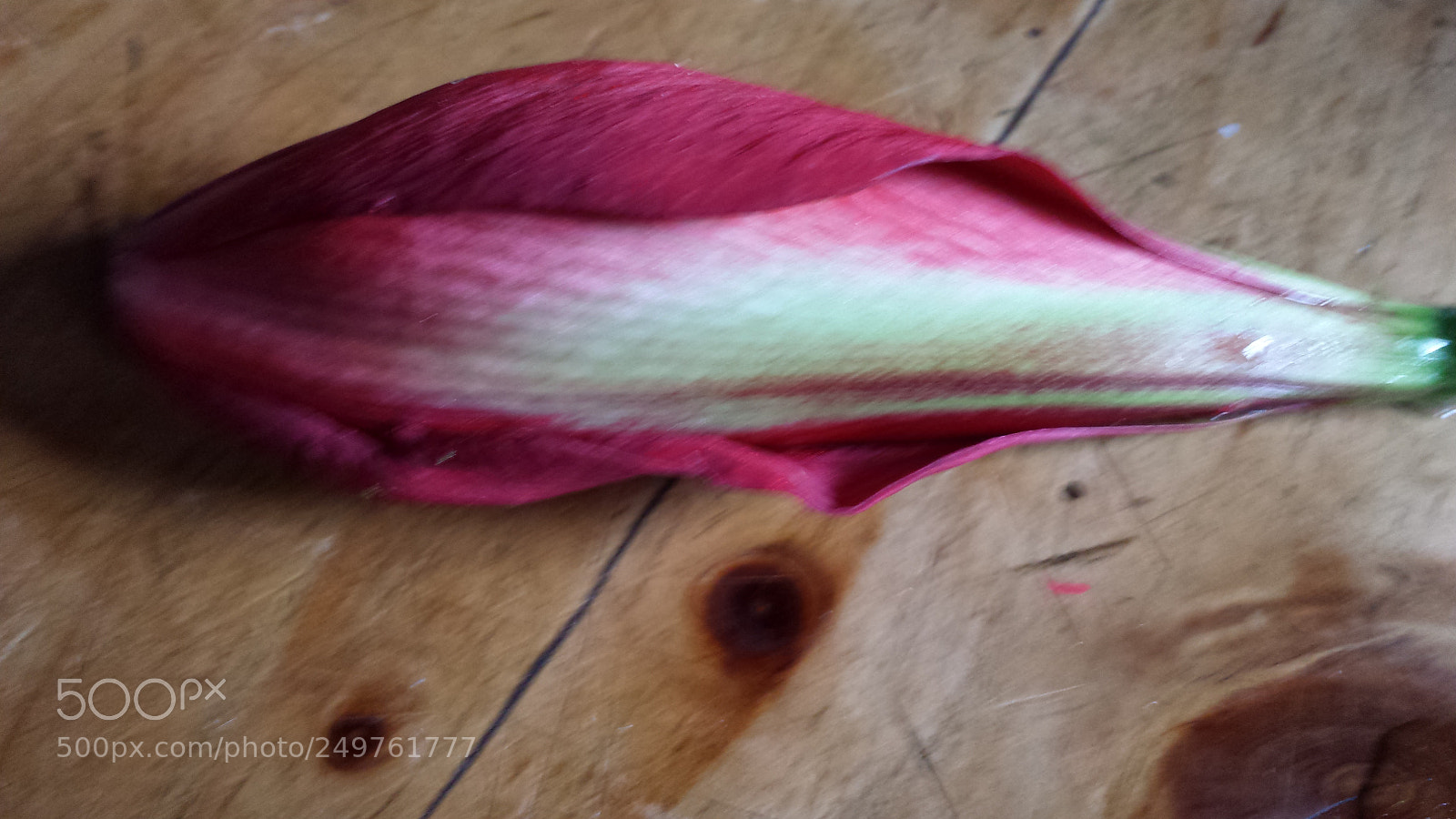 Samsung Galaxy S4 sample photo. Untitled photography