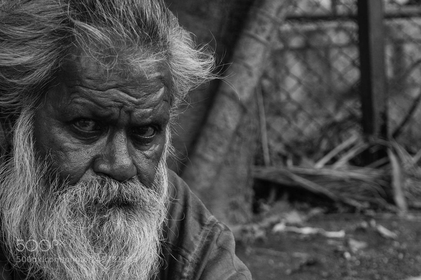 Nikon D5200 sample photo. Eyes photography