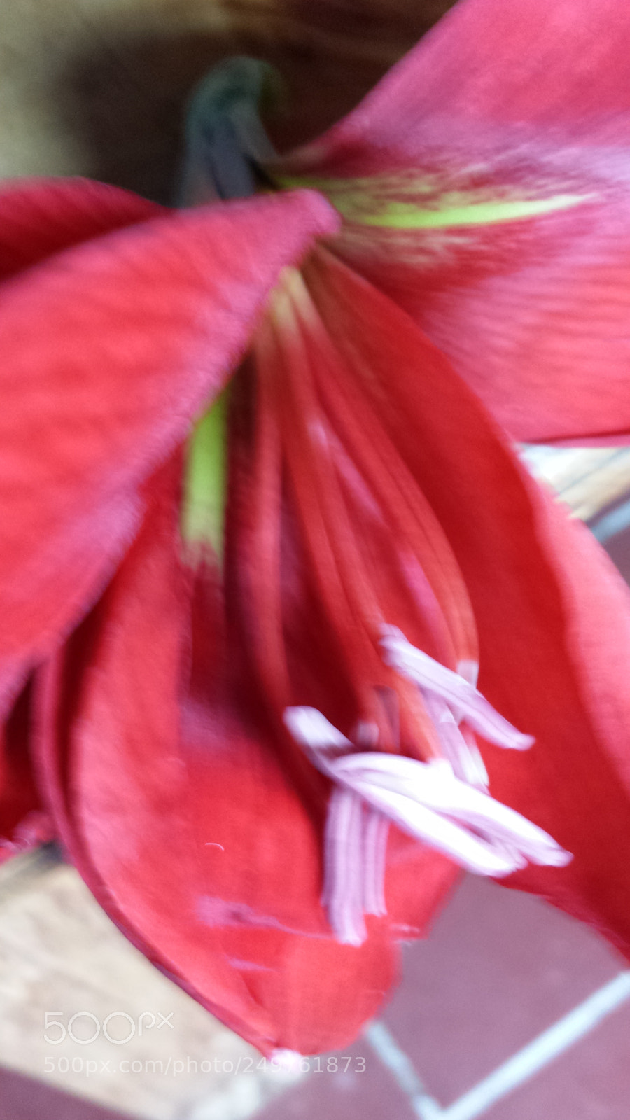 Samsung Galaxy S4 sample photo. Untitled photography