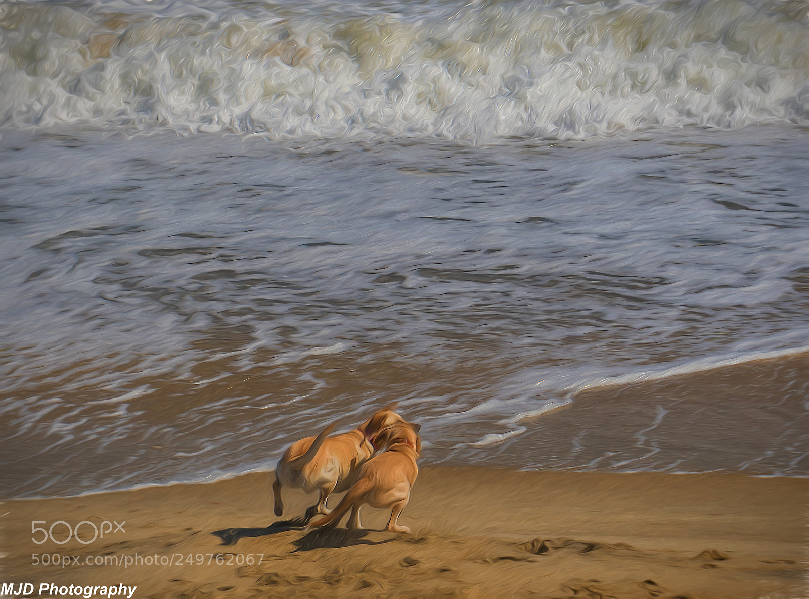 Sony a6300 sample photo. Playtime along the shore photography