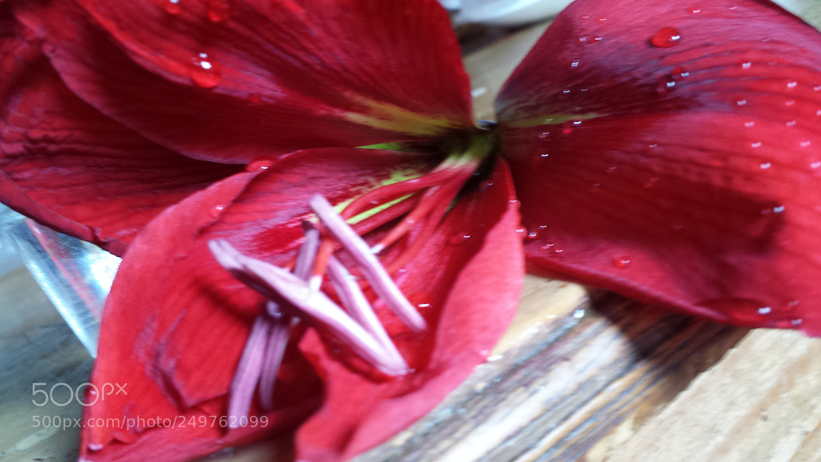 Samsung Galaxy S4 sample photo. Untitled photography
