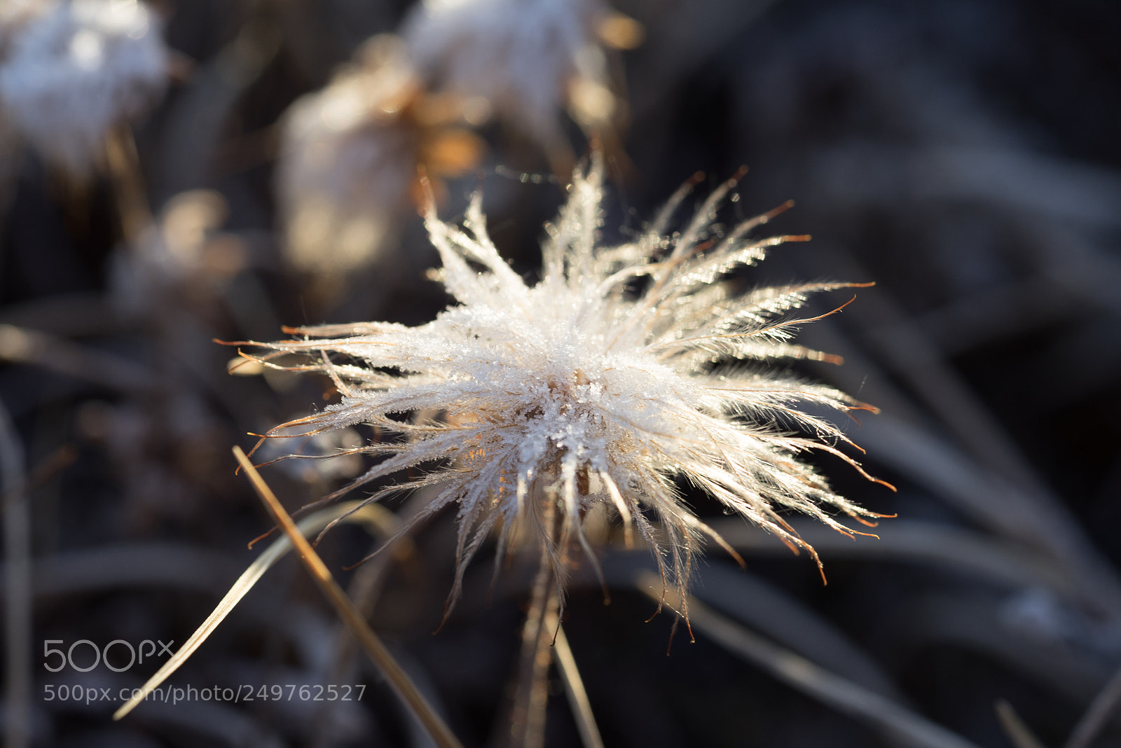 Sony a7R sample photo. Thule photography