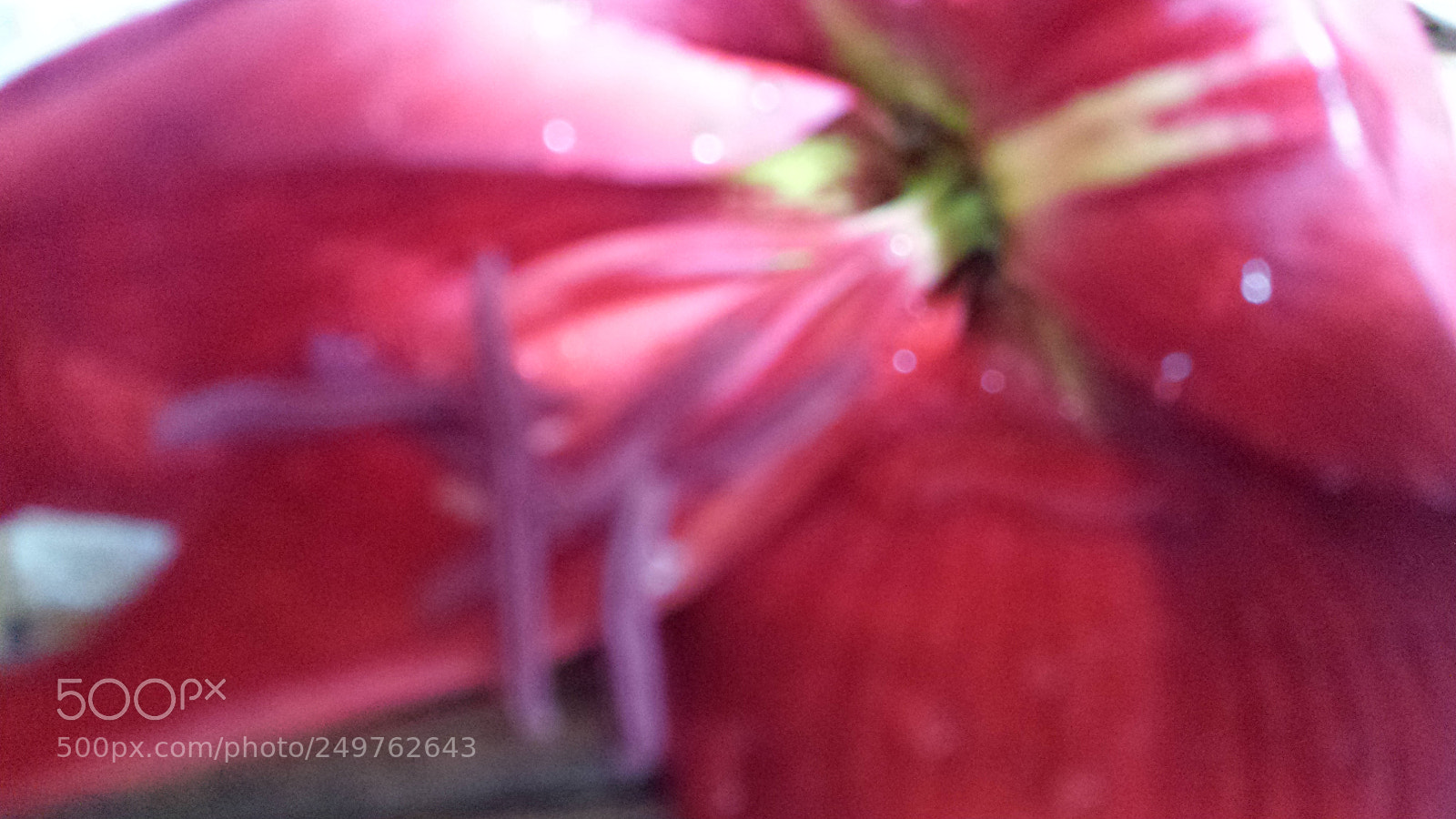 Samsung Galaxy S4 sample photo. Untitled photography
