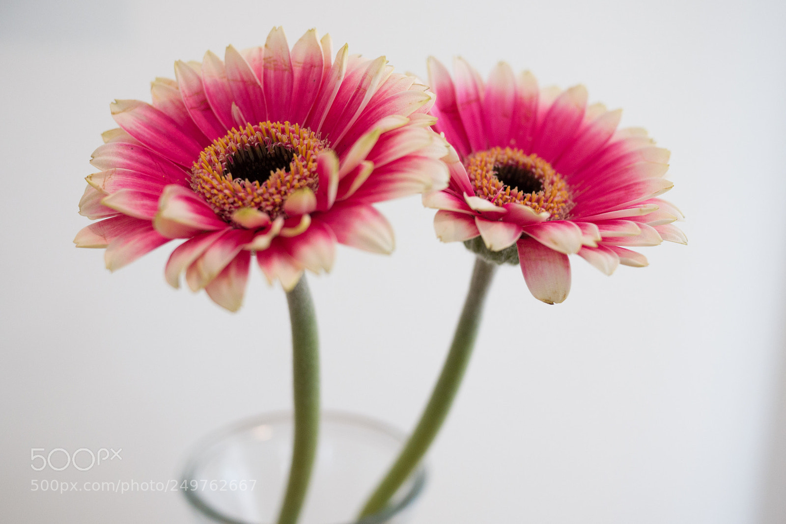 Panasonic Lumix DMC-GX7 sample photo. Untitled photography