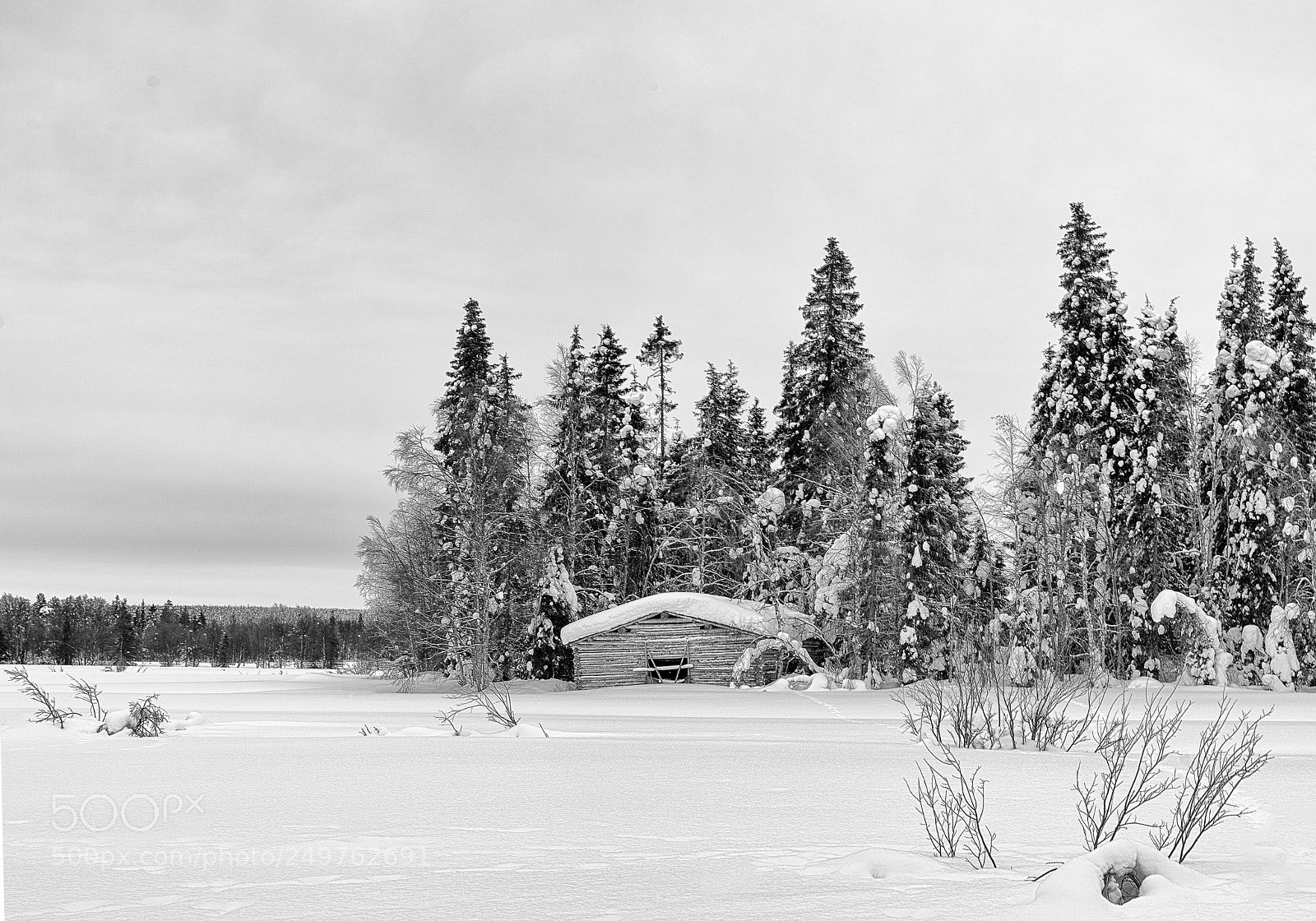 Nikon Df sample photo. Barn photography