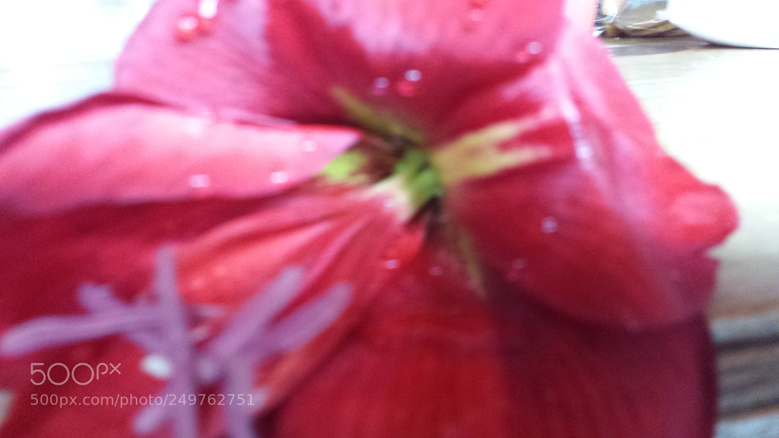 Samsung Galaxy S4 sample photo. Untitled photography