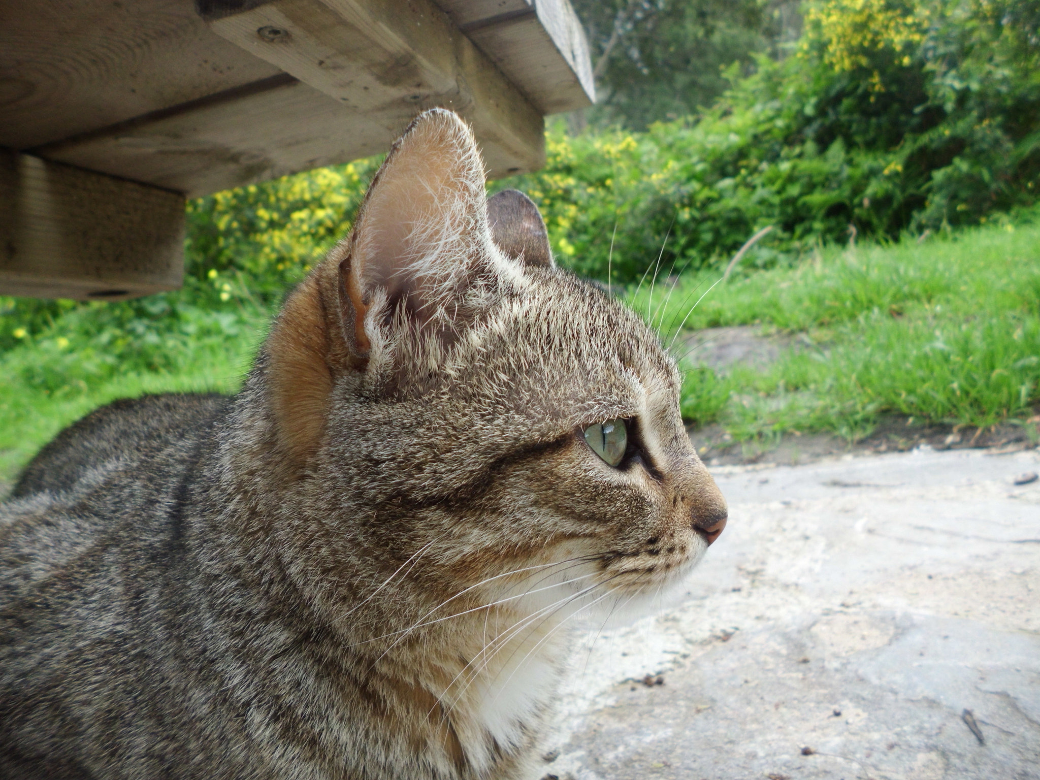 CASIO EX-ZS10 sample photo. Katty perry photography
