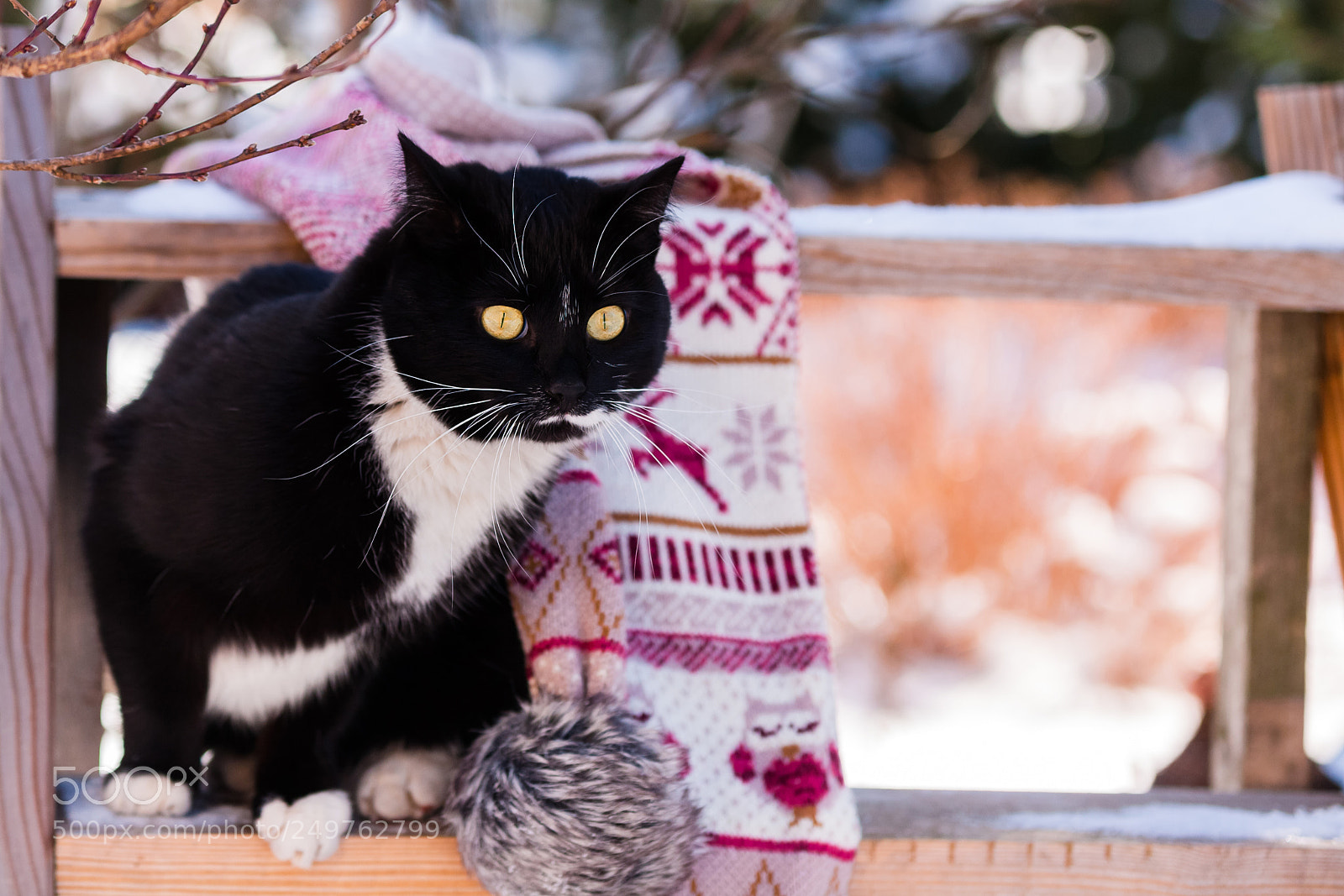 Canon EOS 5D sample photo. Winter is strong in photography