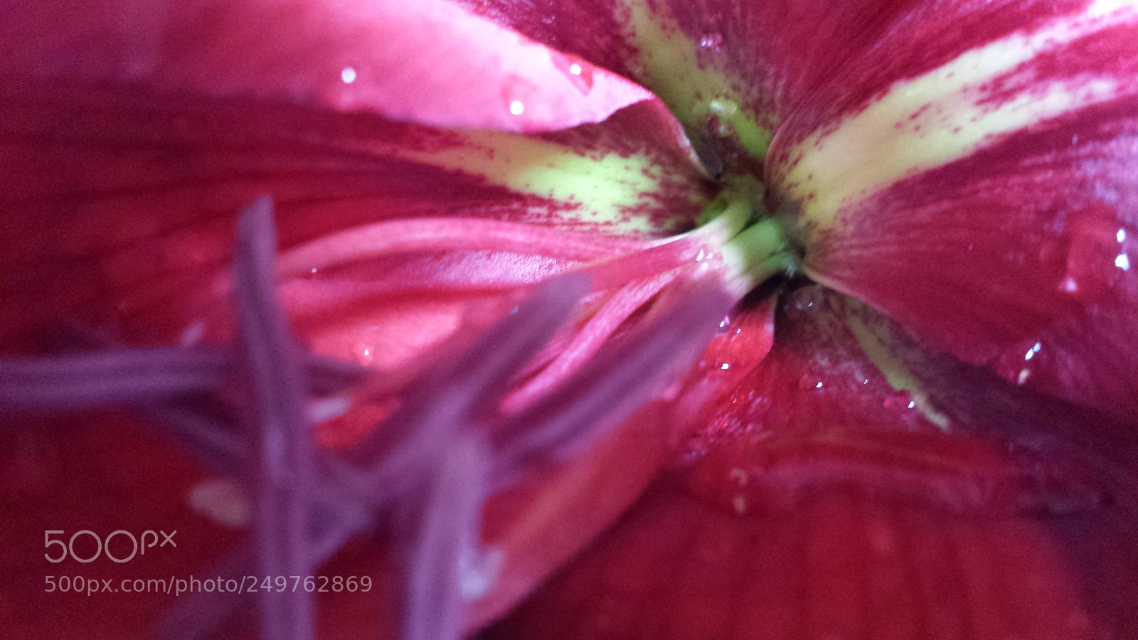 Samsung Galaxy S4 sample photo. Untitled photography