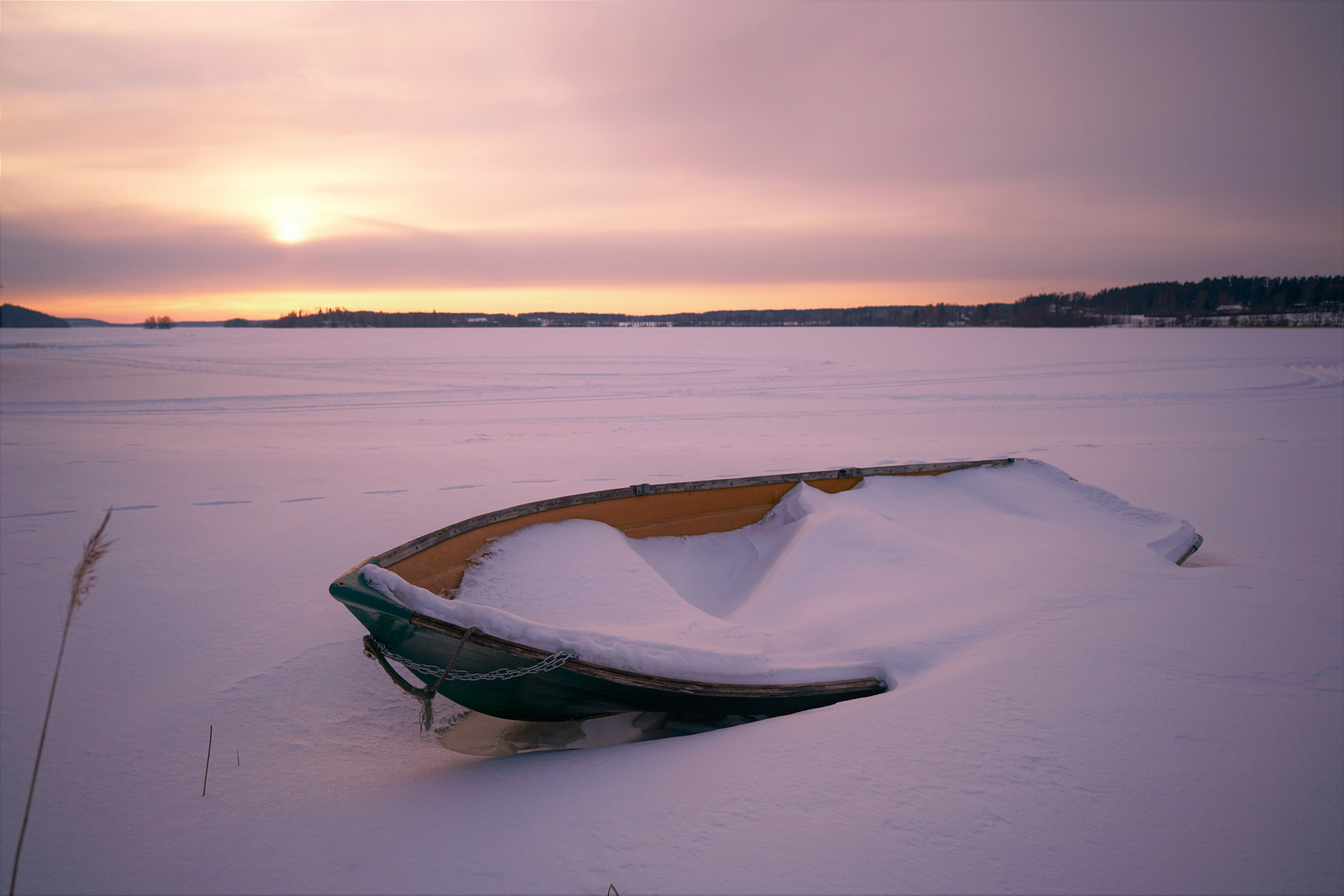 Sony a7R II + ZEISS Batis 25mm F2 sample photo. Dsc photography