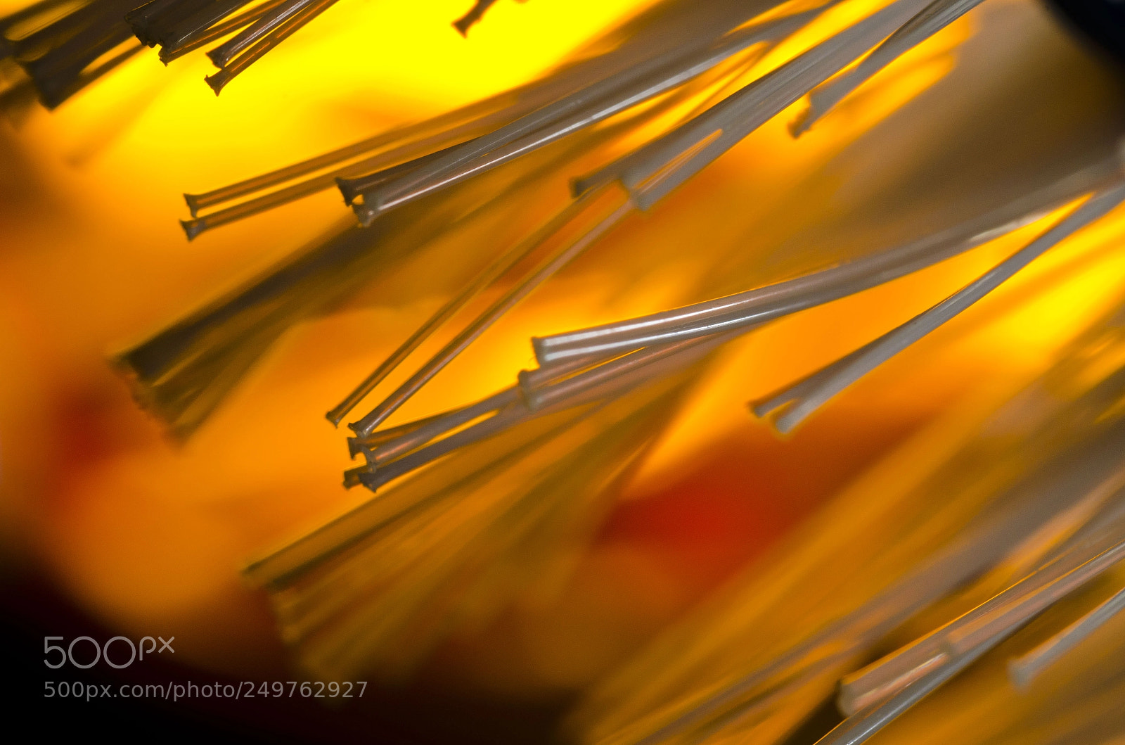 Nikon D7000 sample photo. Kitchen brush bristles. photography