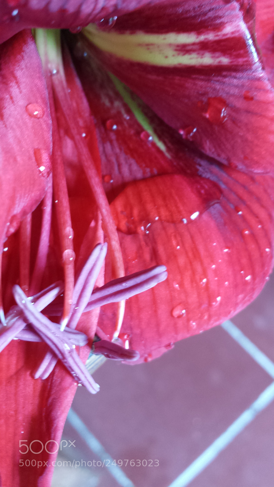Samsung Galaxy S4 sample photo. Untitled photography