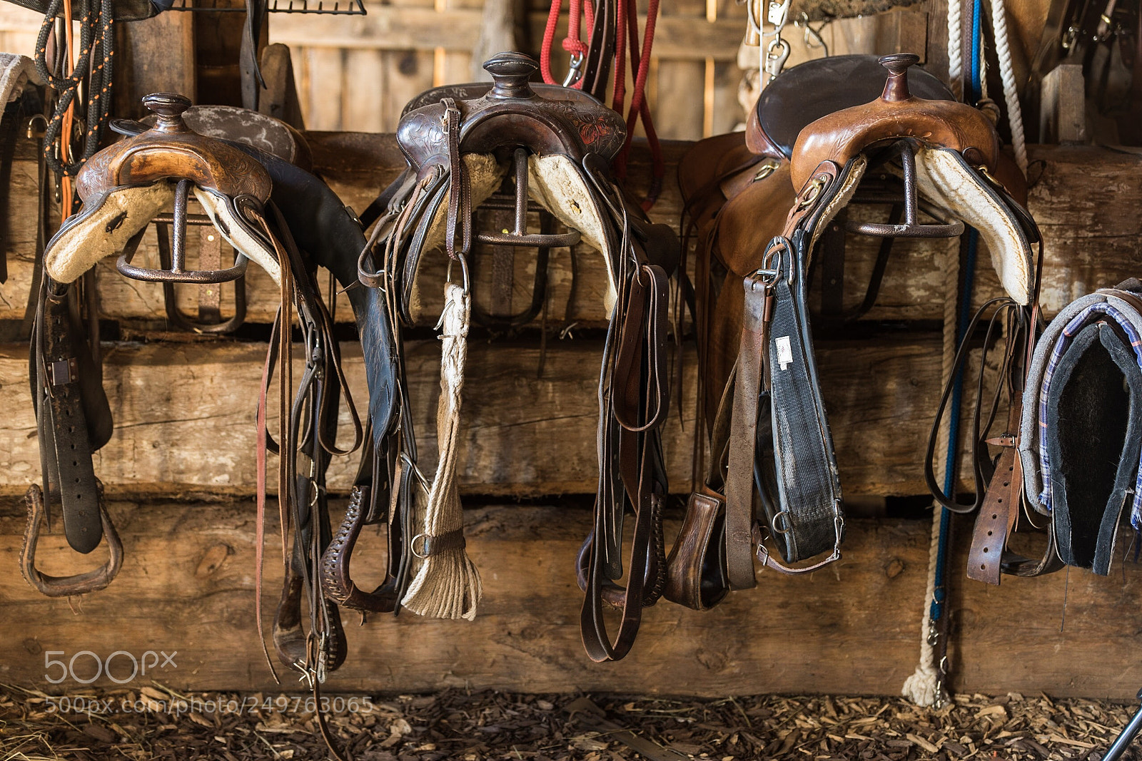 Nikon D850 sample photo. Saddles in the barn photography