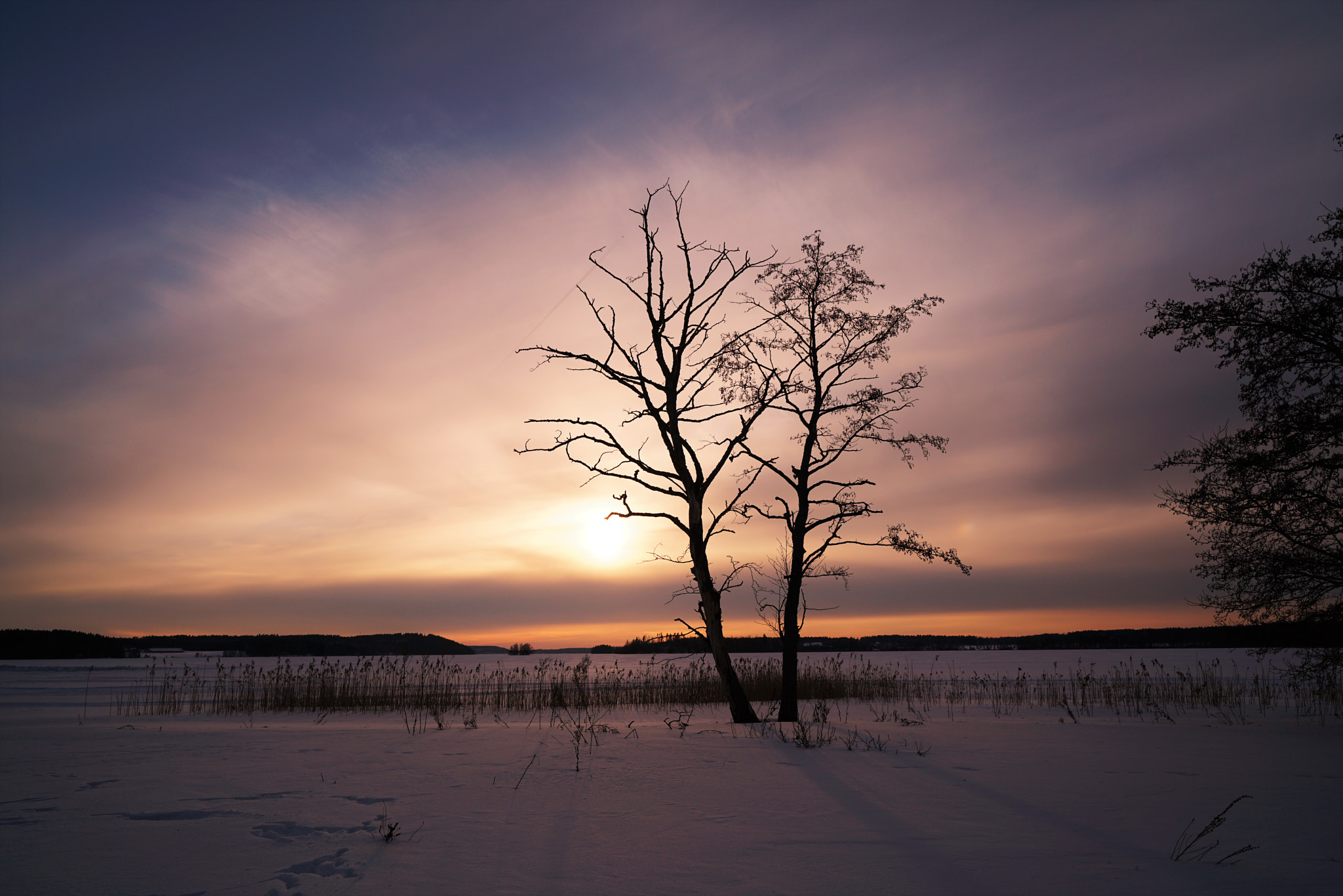 Sony a7R II + ZEISS Batis 25mm F2 sample photo. Dsc photography