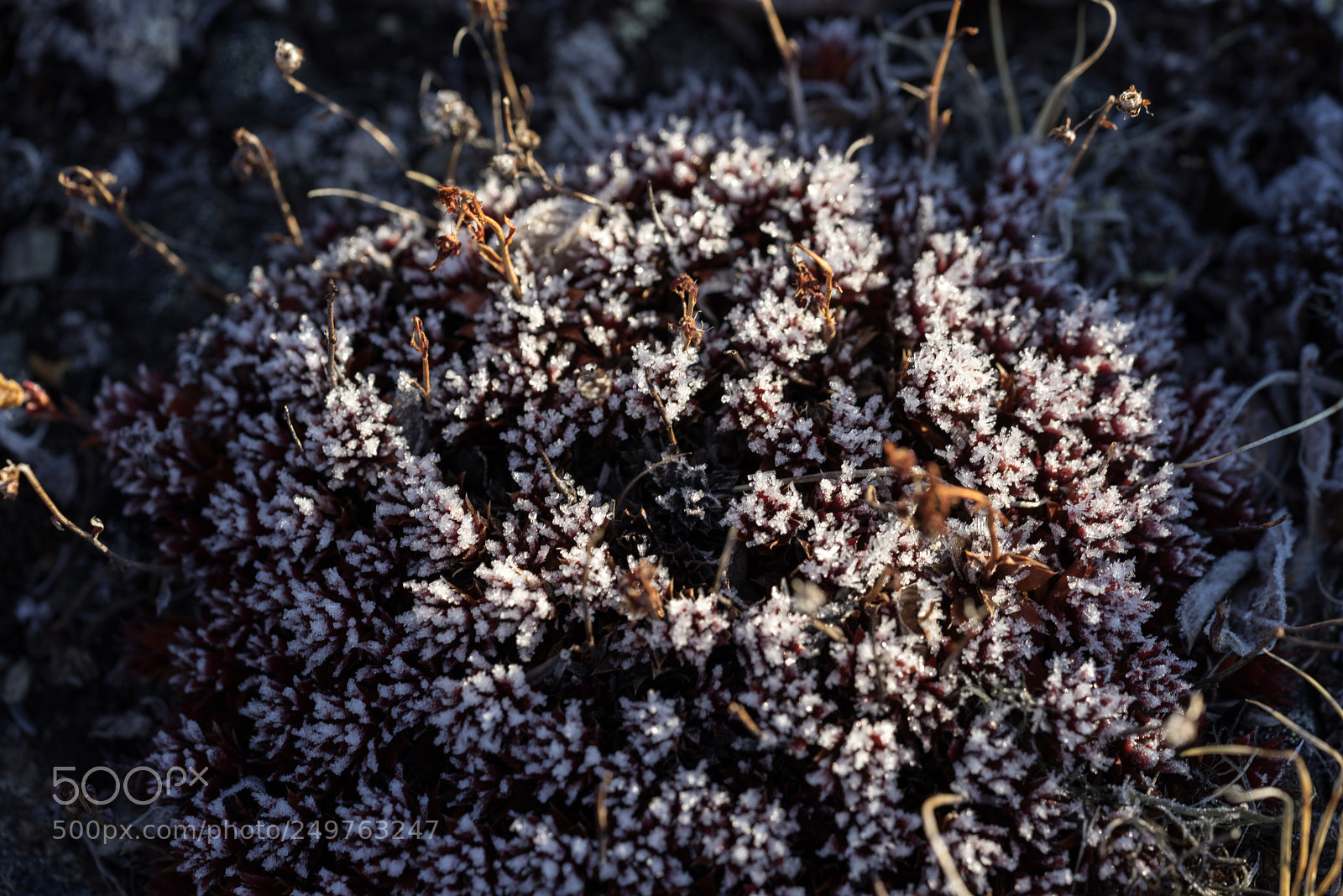Sony a7R sample photo. Thule photography