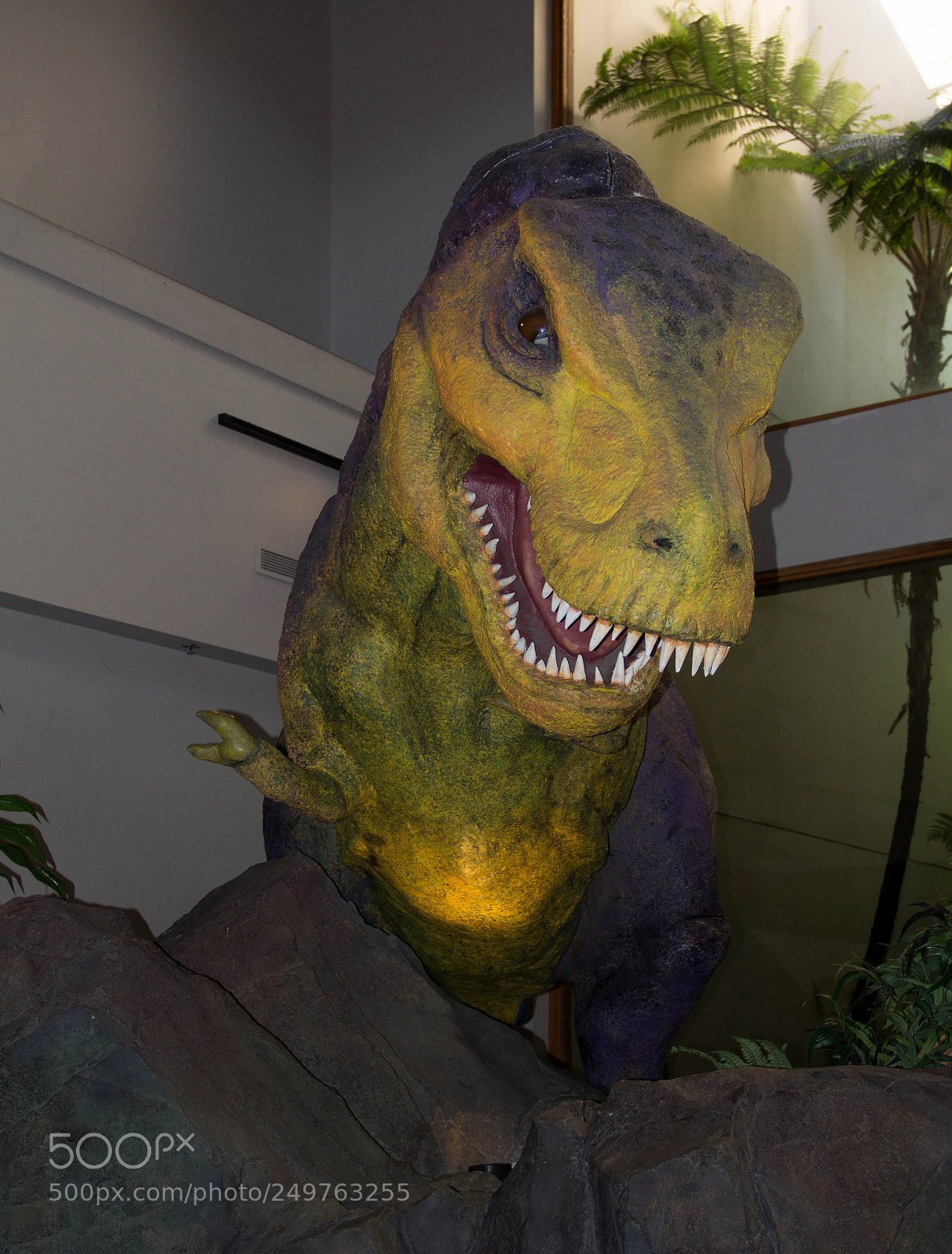 Canon EOS 60D sample photo. Dino photography