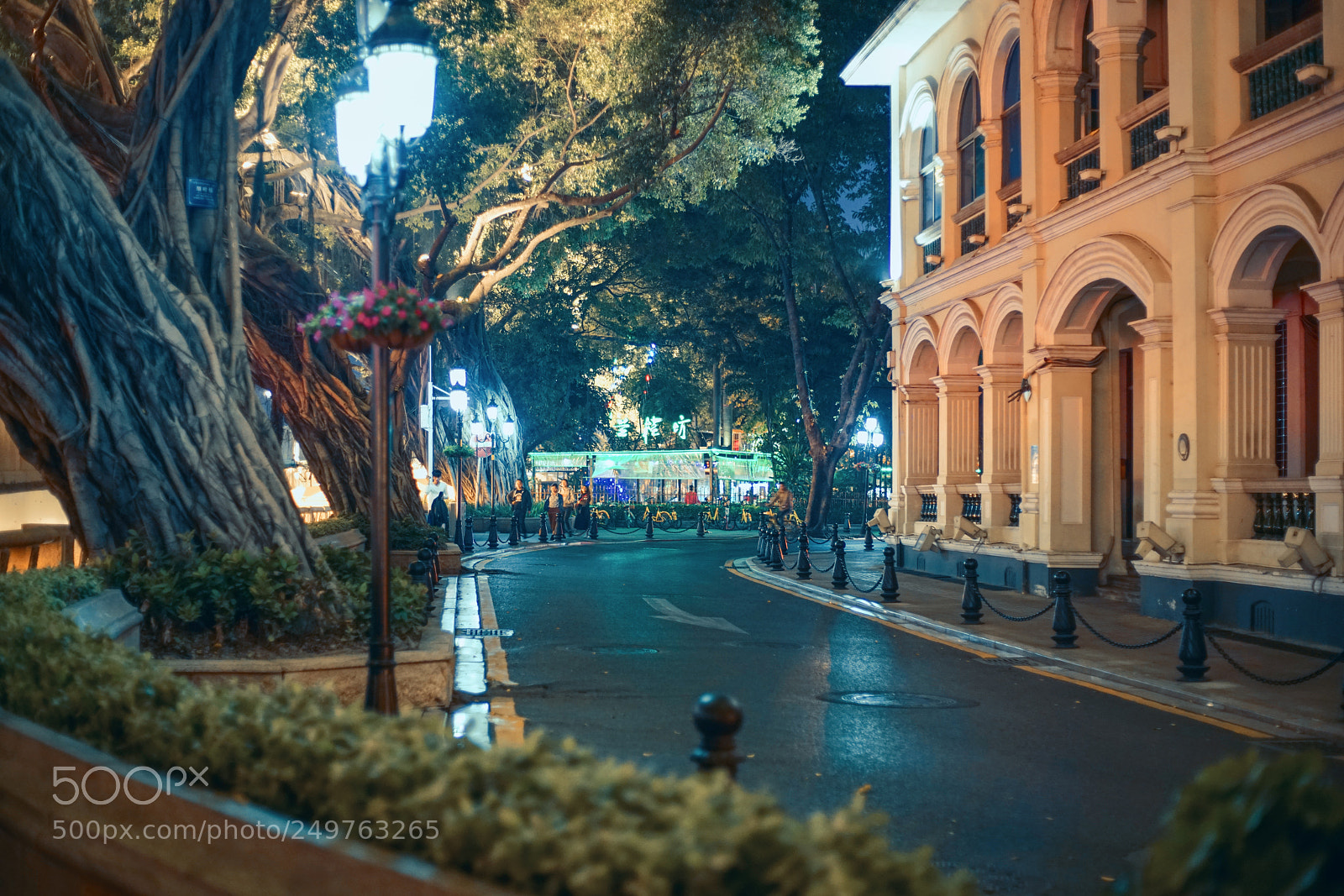 Sony a7R II sample photo. 夜拍 photography
