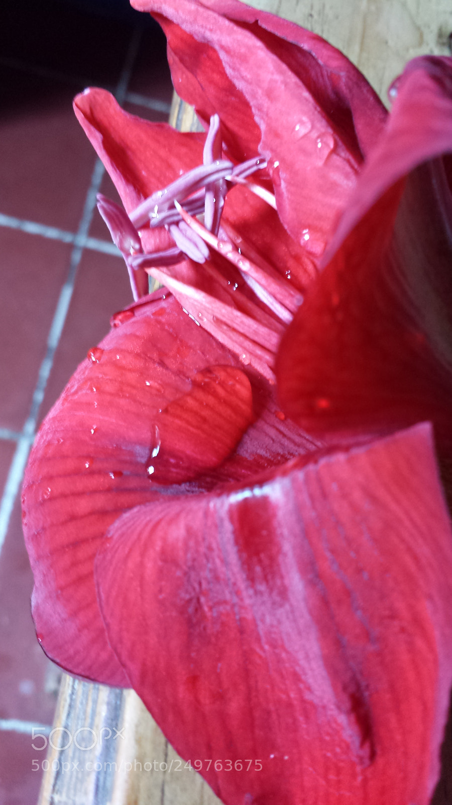 Samsung Galaxy S4 sample photo. Untitled photography