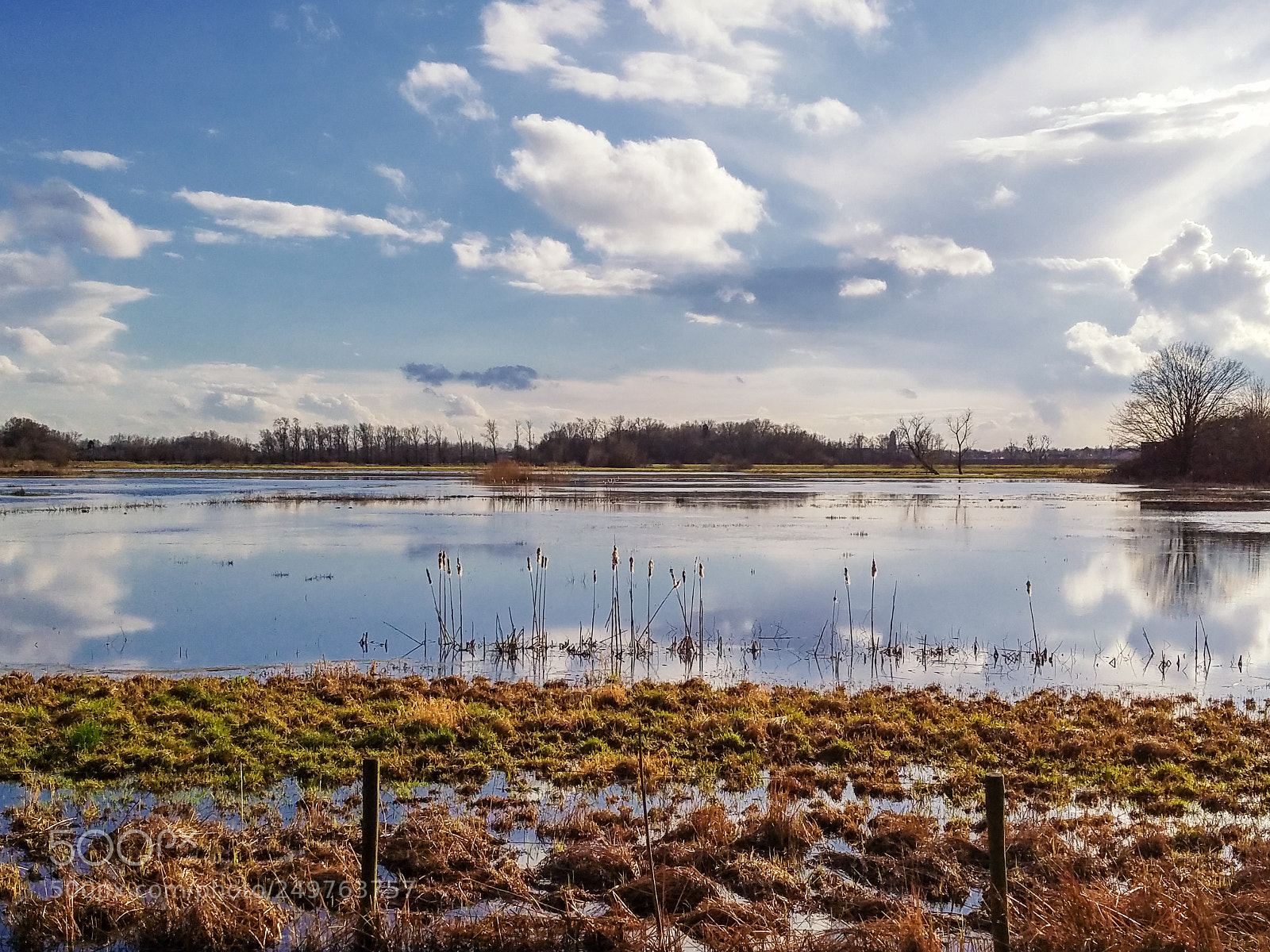 Samsung Galaxy S7 Edge sample photo. Blaarmeersen photography