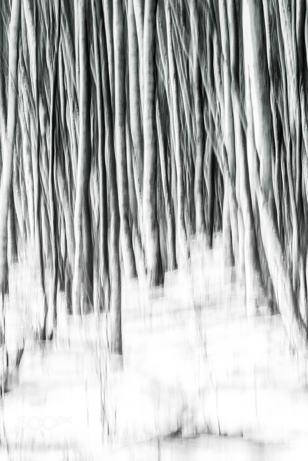Canon EOS 7D Mark II sample photo. Black and white photography