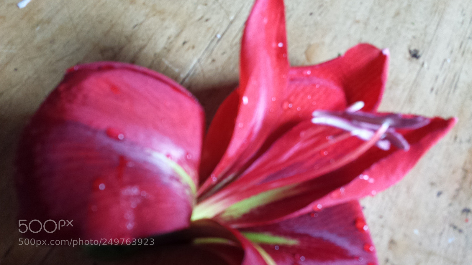 Samsung Galaxy S4 sample photo. Untitled photography