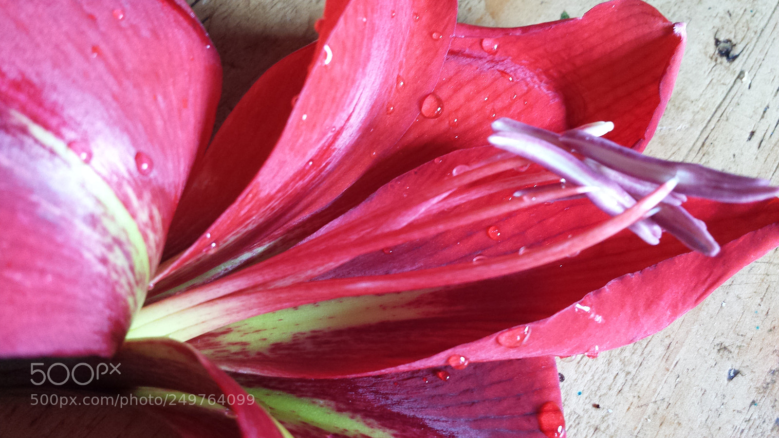 Samsung Galaxy S4 sample photo. Untitled photography