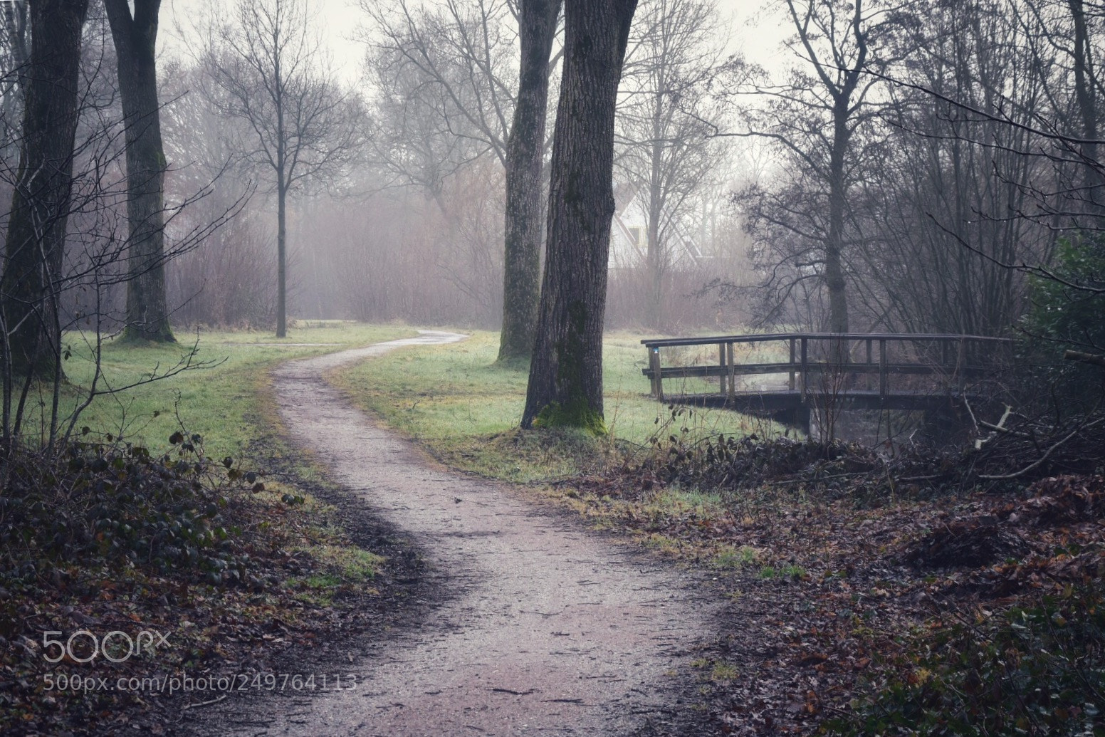 Nikon D5500 sample photo. Untitled photography