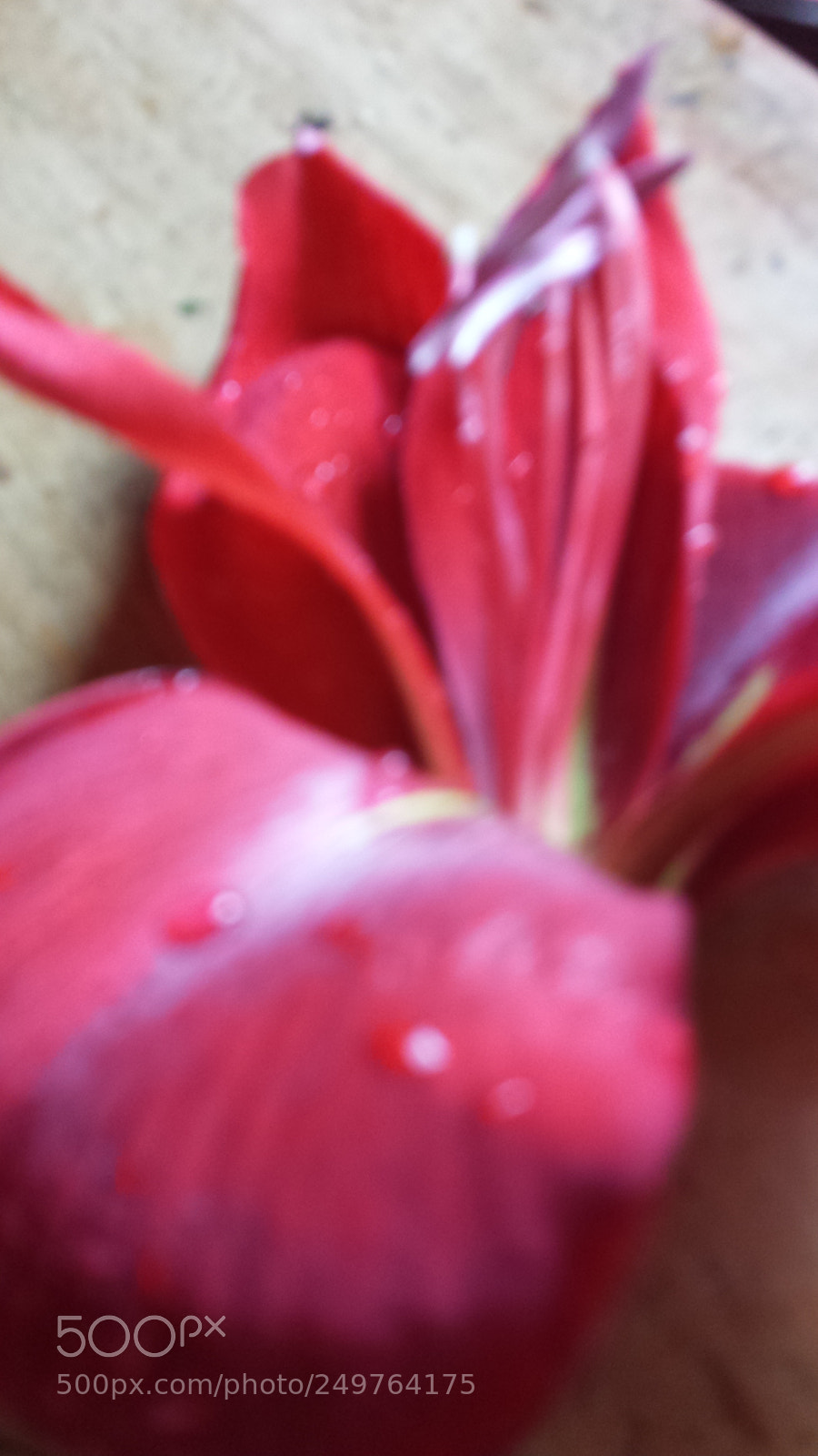 Samsung Galaxy S4 sample photo. Untitled photography