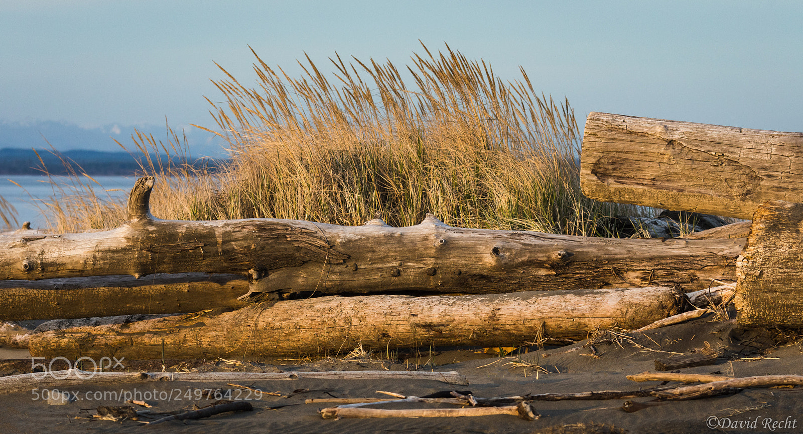 Canon EOS 5D Mark IV sample photo. Stacking up photography