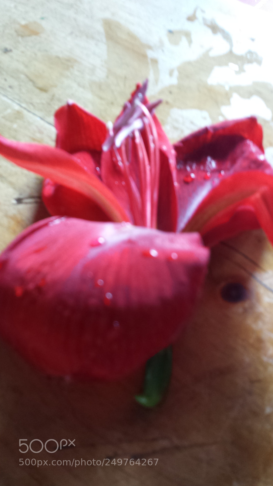 Samsung Galaxy S4 sample photo. Untitled photography