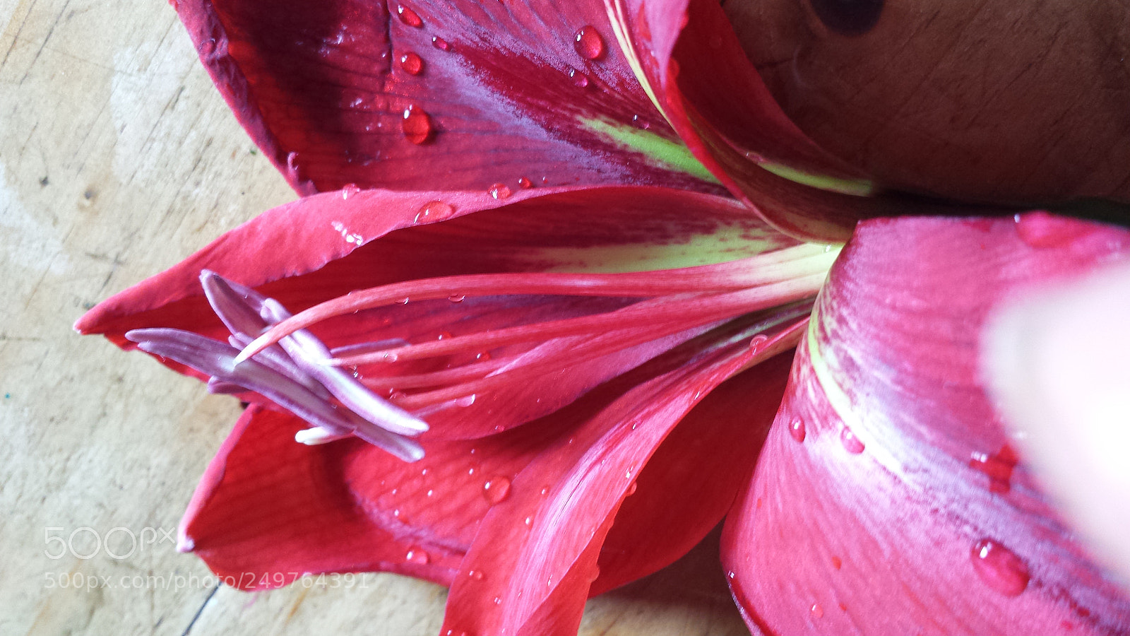 Samsung Galaxy S4 sample photo. Untitled photography