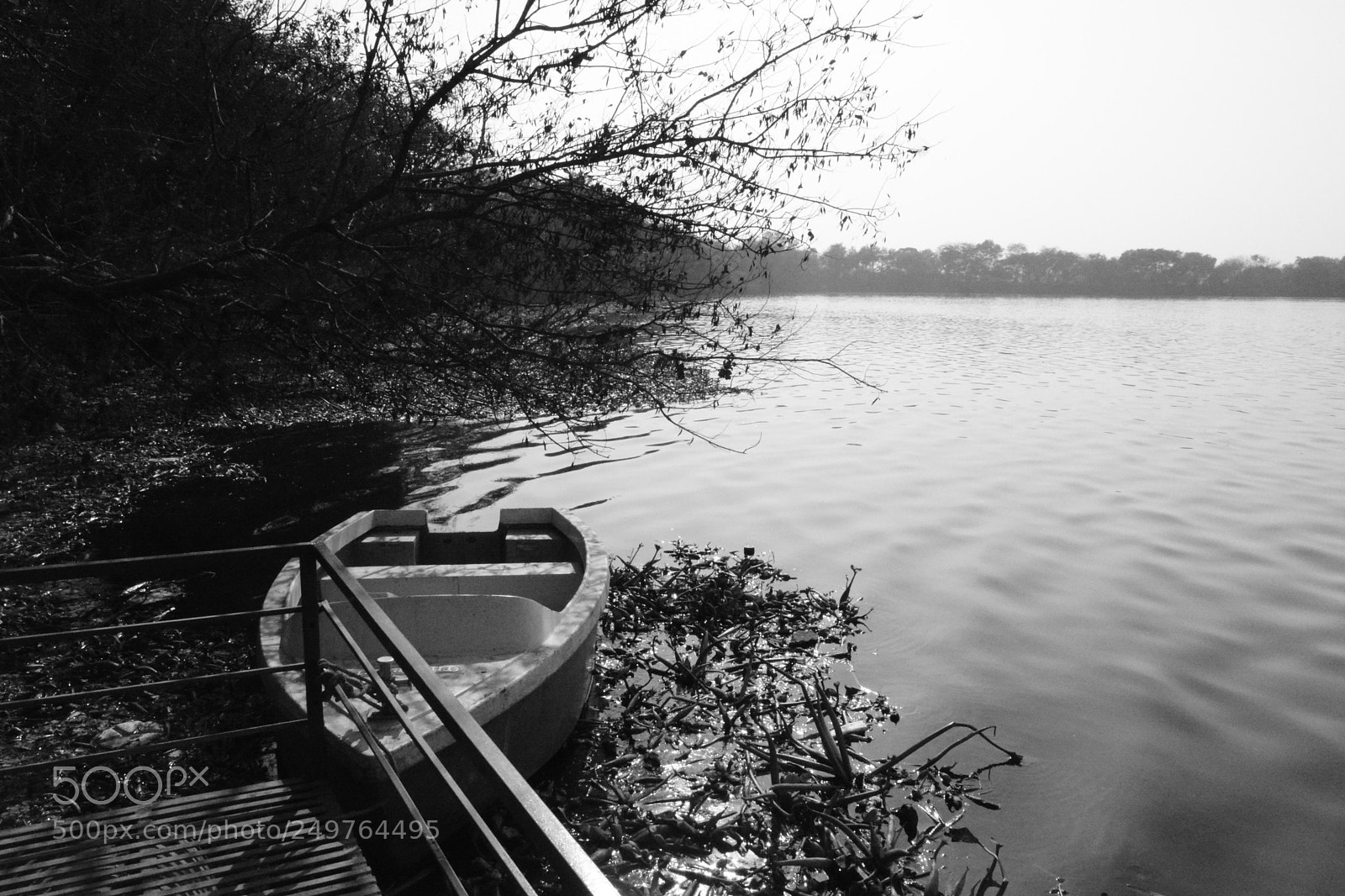 Nikon D5200 sample photo. [] photography