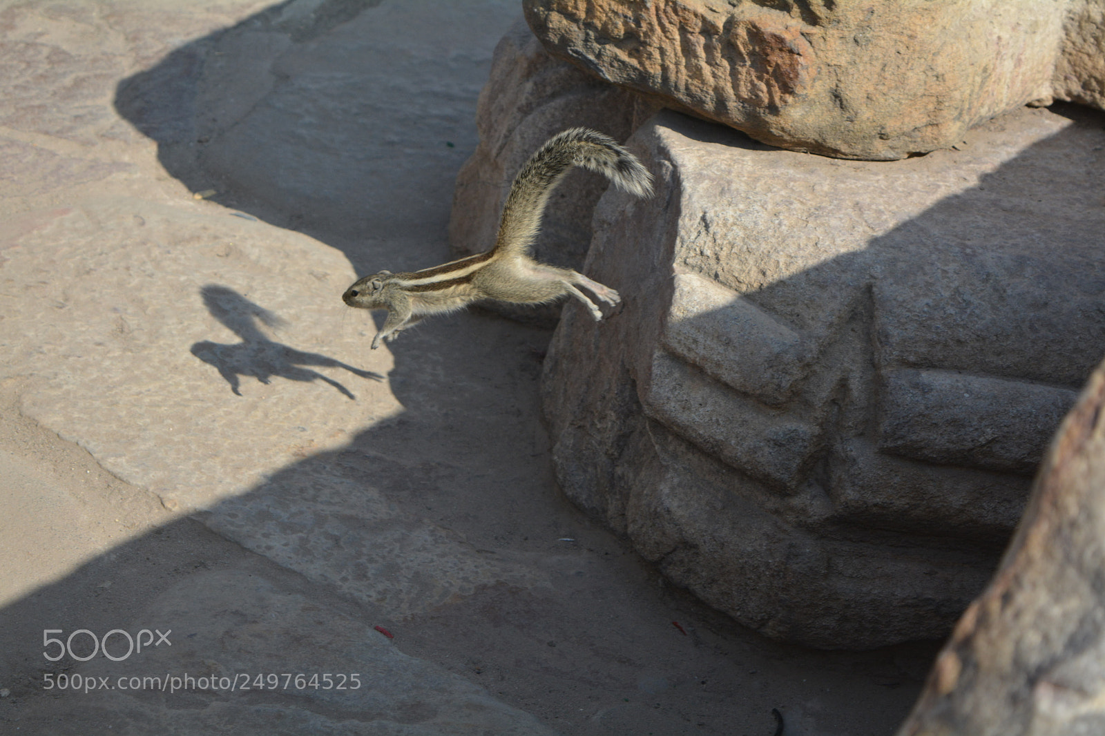 Nikon D5200 sample photo. [] photography