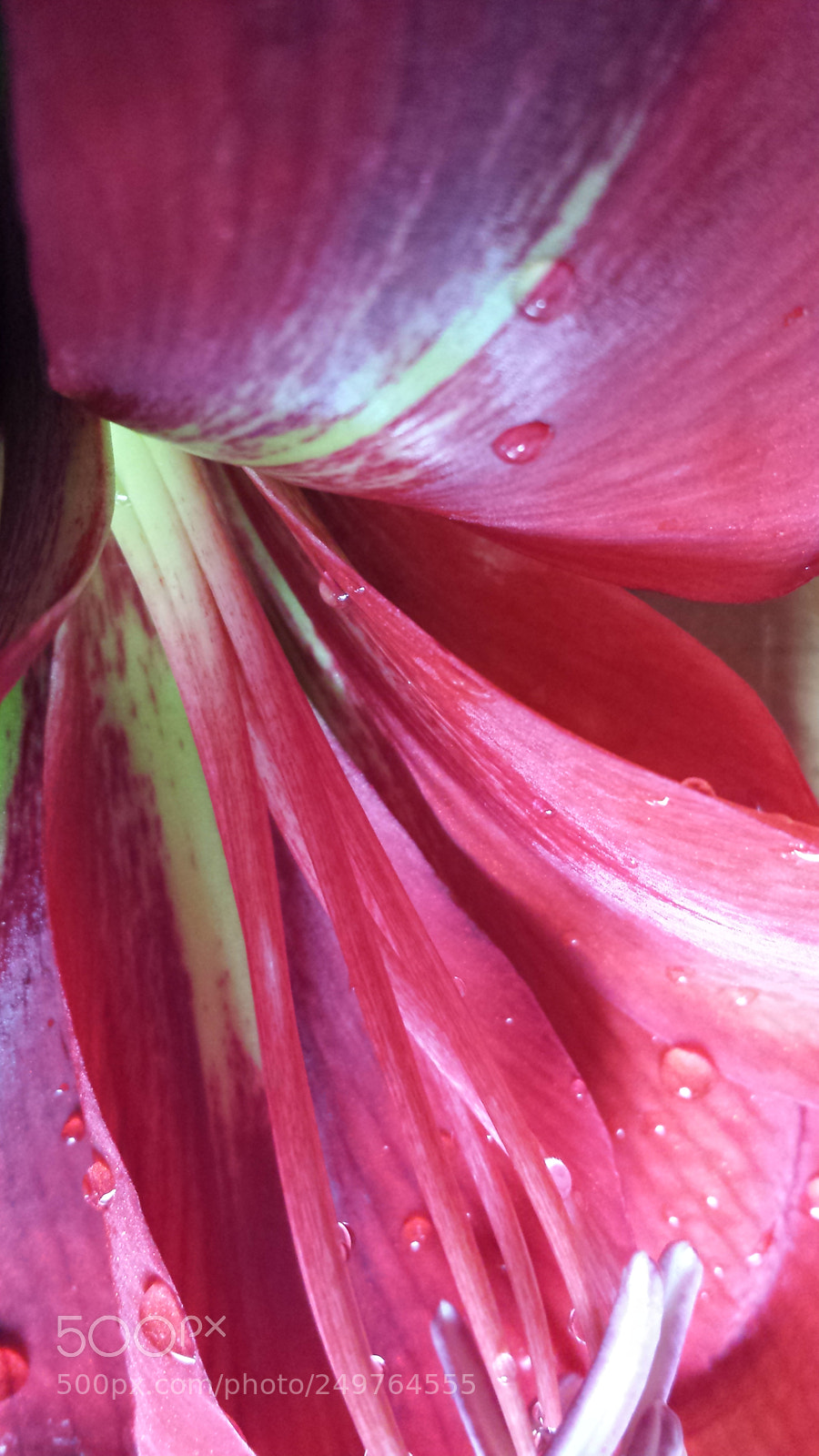 Samsung Galaxy S4 sample photo. Untitled photography