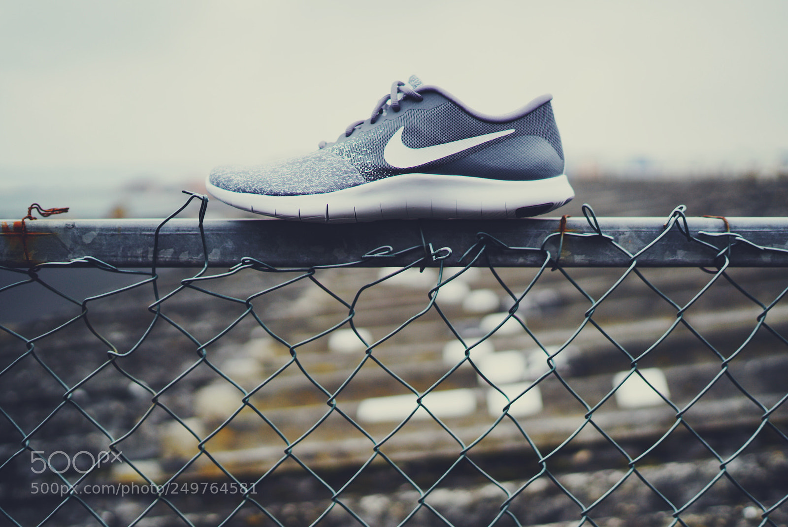 Sony a7R II sample photo. Day seventy seven photography