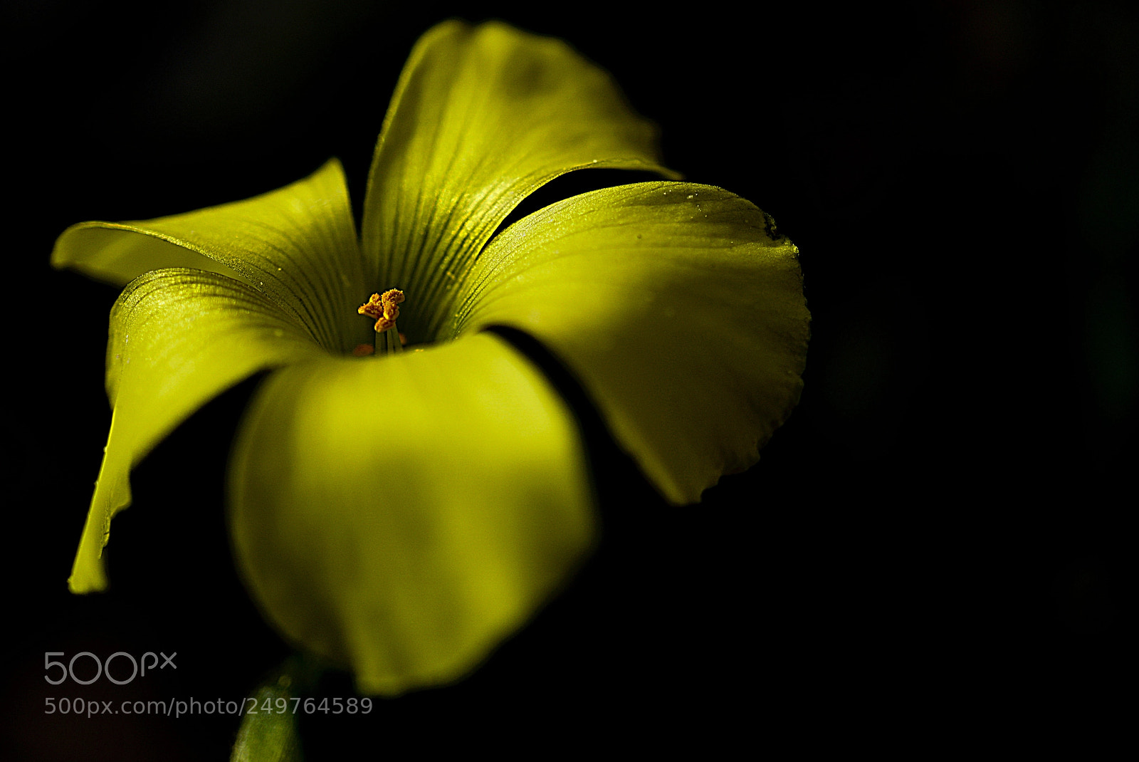 Sony a6500 sample photo. _dsc3646 .jpg photography