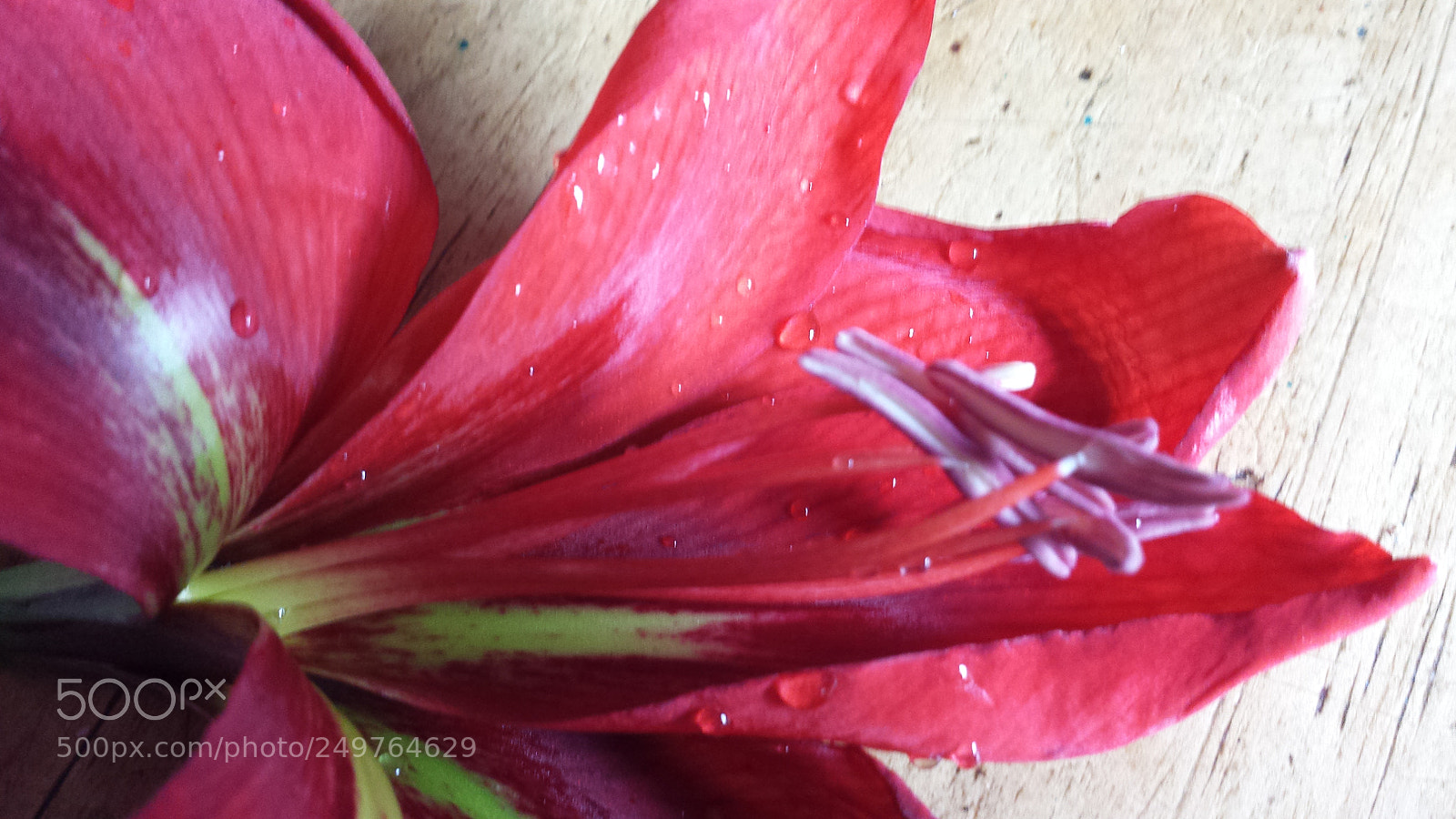 Samsung Galaxy S4 sample photo. Untitled photography