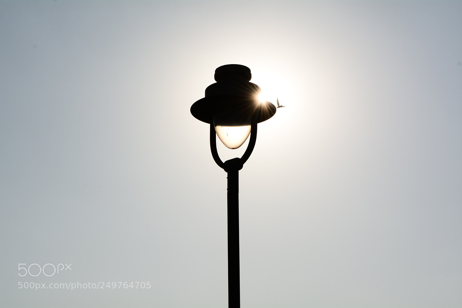 Nikon D5200 sample photo. [] photography